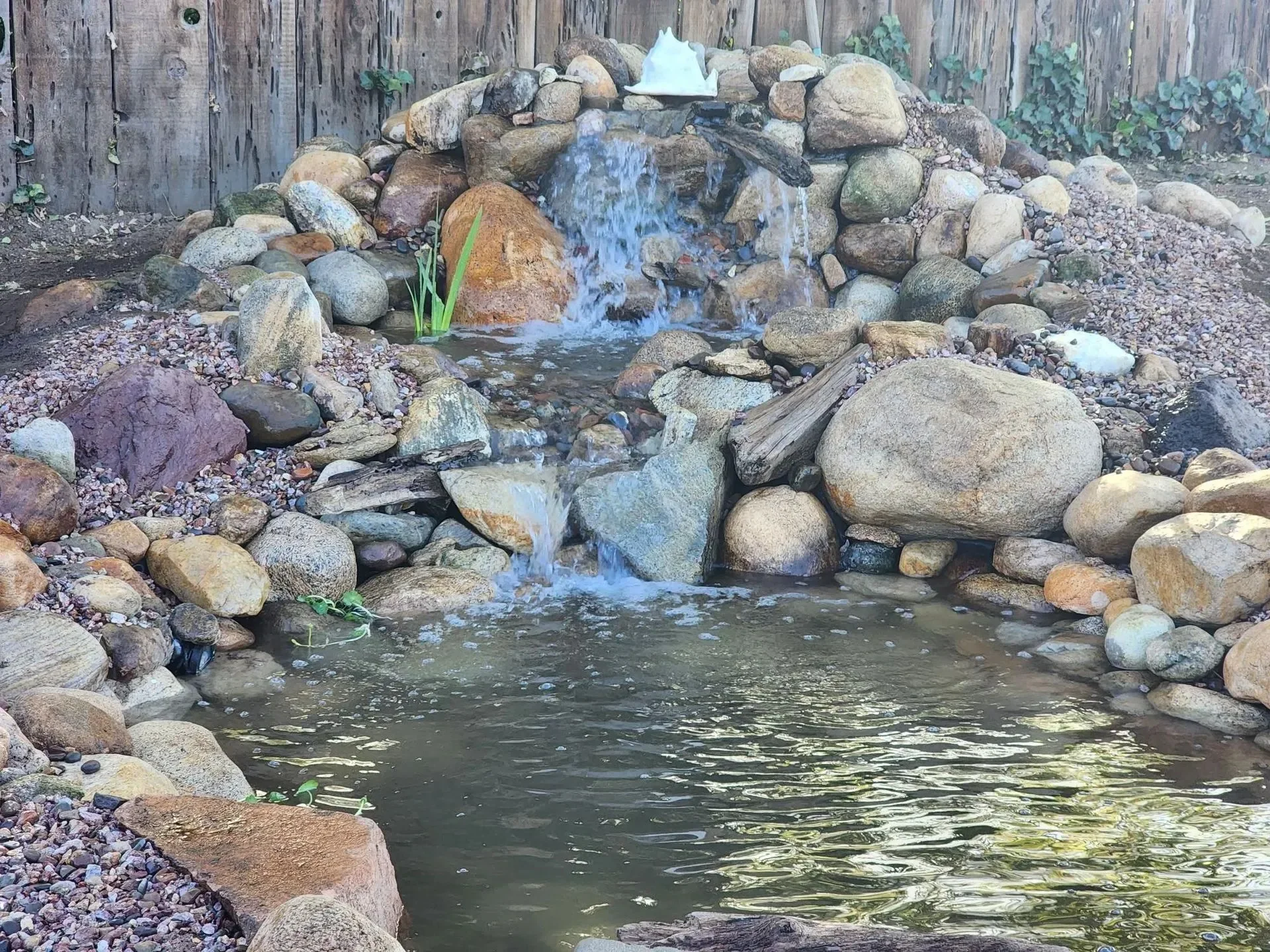 How Often Should You Clean a Pond in the high desert?