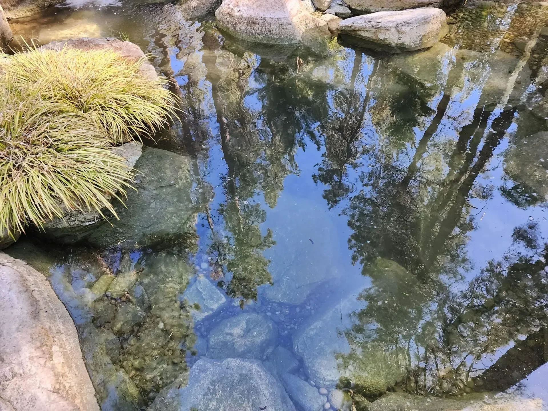 Why Local Pond Supplies Make a Difference for High desert Ponds