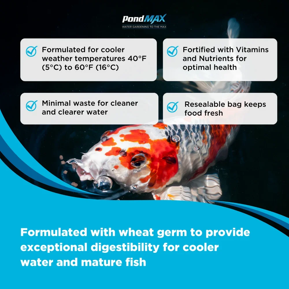 PondMAXSpring_FallWheatGermBenefits.webp