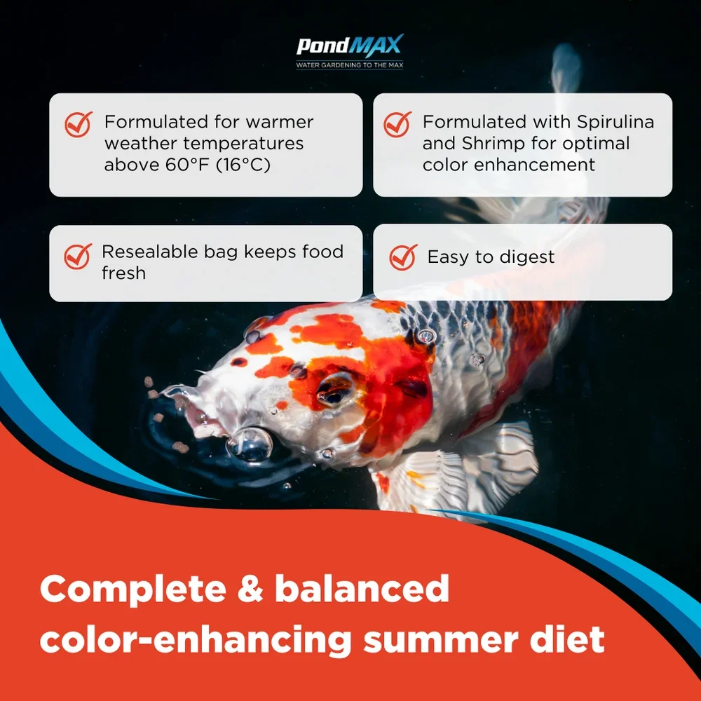 PondMAXColorEnhancingFishFoodBenefits.webp