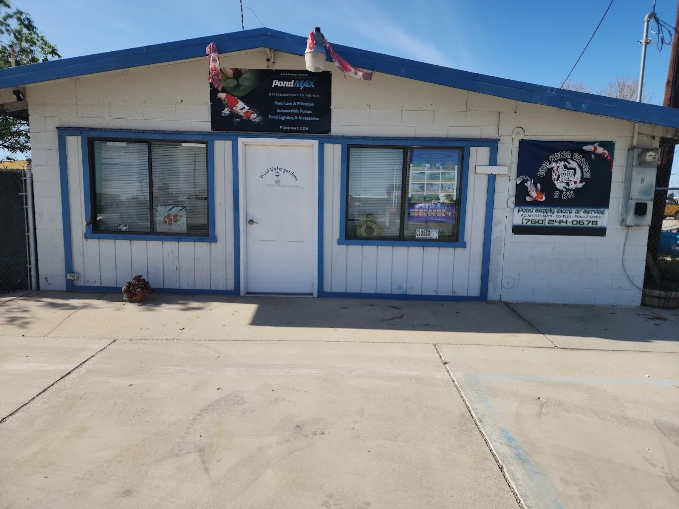 Small white building with blue trim housing a pond supply store, with two large windows, a closed door, and signs advertising pond care and filtration, koi fish, and aquarium plants, situated on a concrete sidewalk under a blue sky.