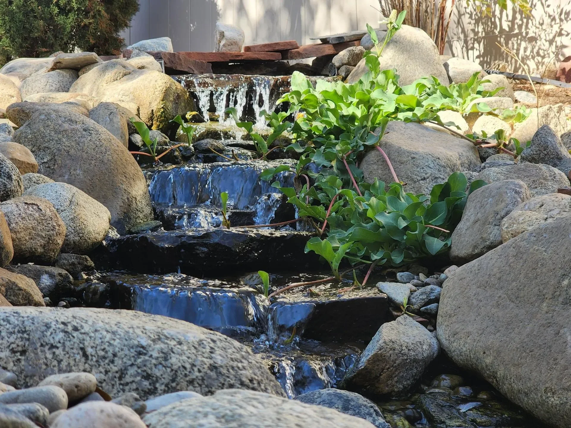 A small waterfall flowing over rocks surrounded by a variety of stones and greenery.