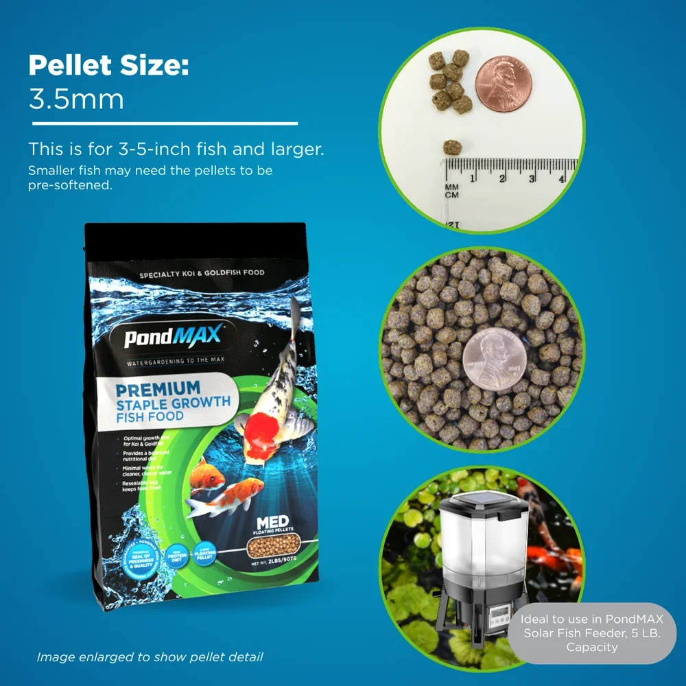 PondMAX_Staple_Growth_Fish_Food_Pellet_Size.webp