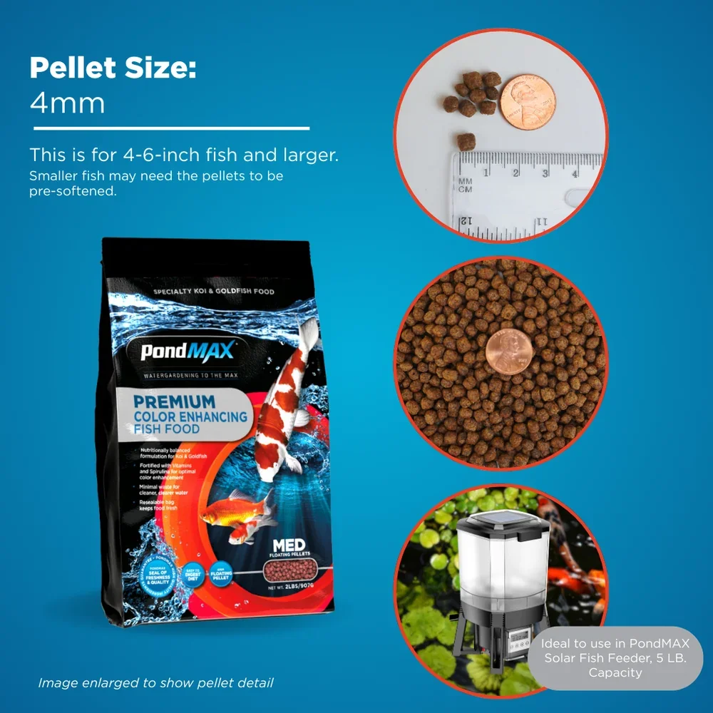 PondMAXColorEnhancingFishFoodPelletSize.webp