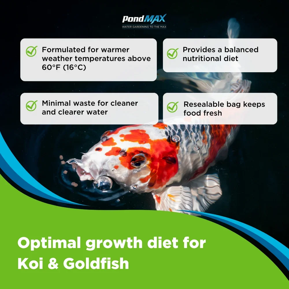 PondMAX_Staple_Growth_Fish_Food_Benefits.webp
