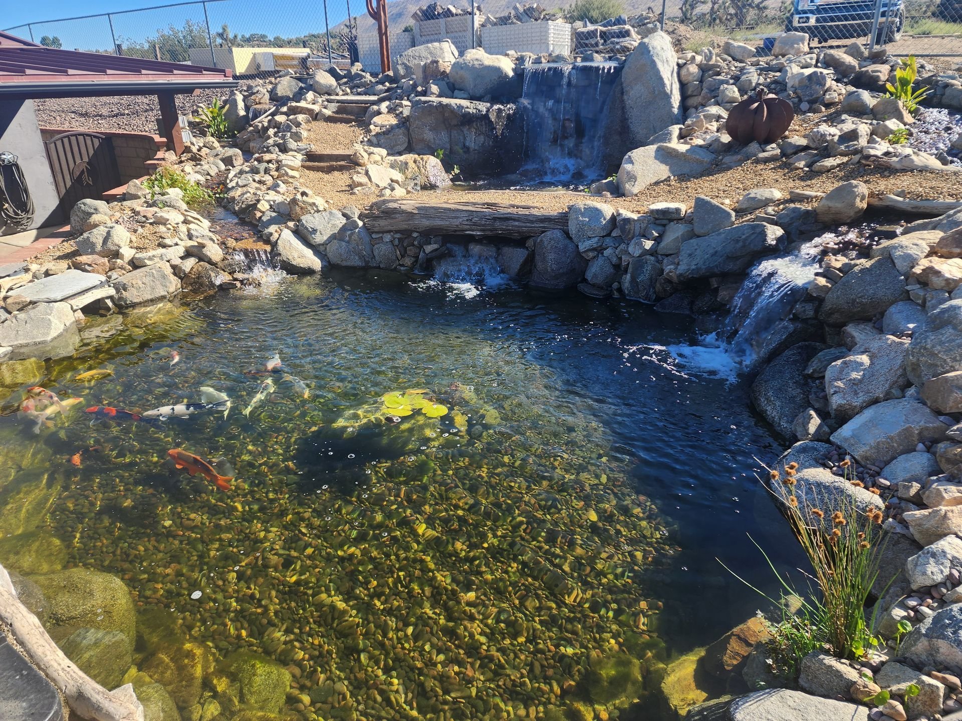 A small artificial pond with koi fish, surrounded by rocks and plants, with a waterfall feature, in a backyard.
