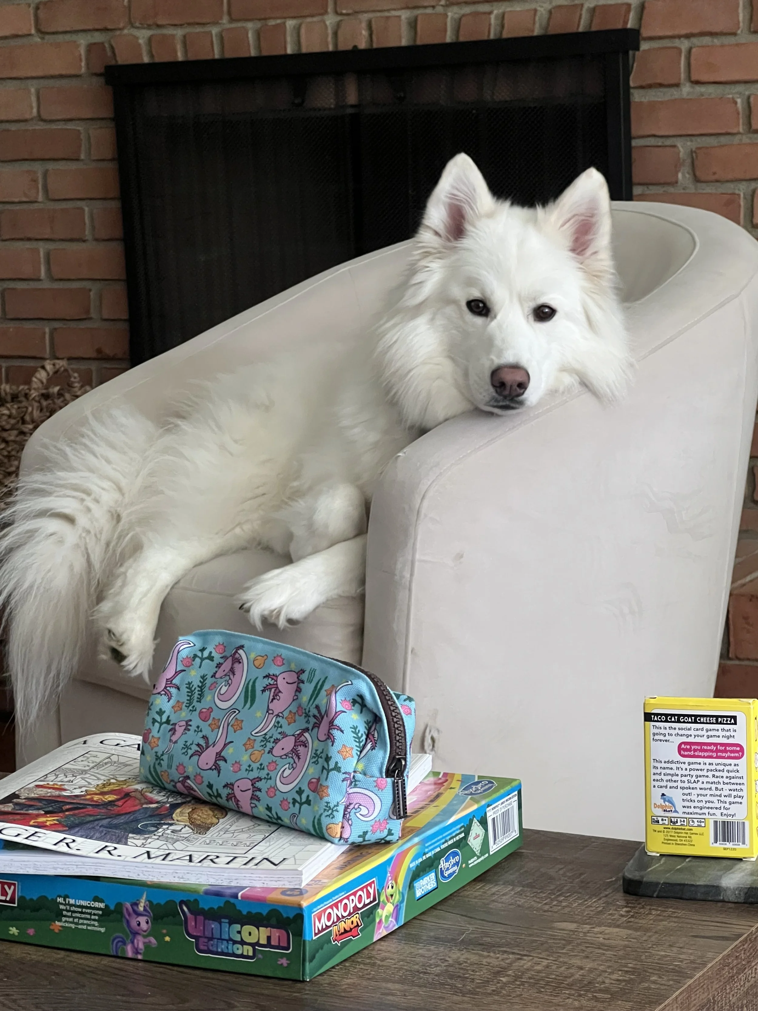 A white dog resting on a beige armchair in front of a brick fireplace. On the table in front of the dog, there are game boxes including Monopoly Junior Unicorn Edition, and a colorful backpack with unicorn and dolphin designs. A small yellow sign with game instructions is also on the table.