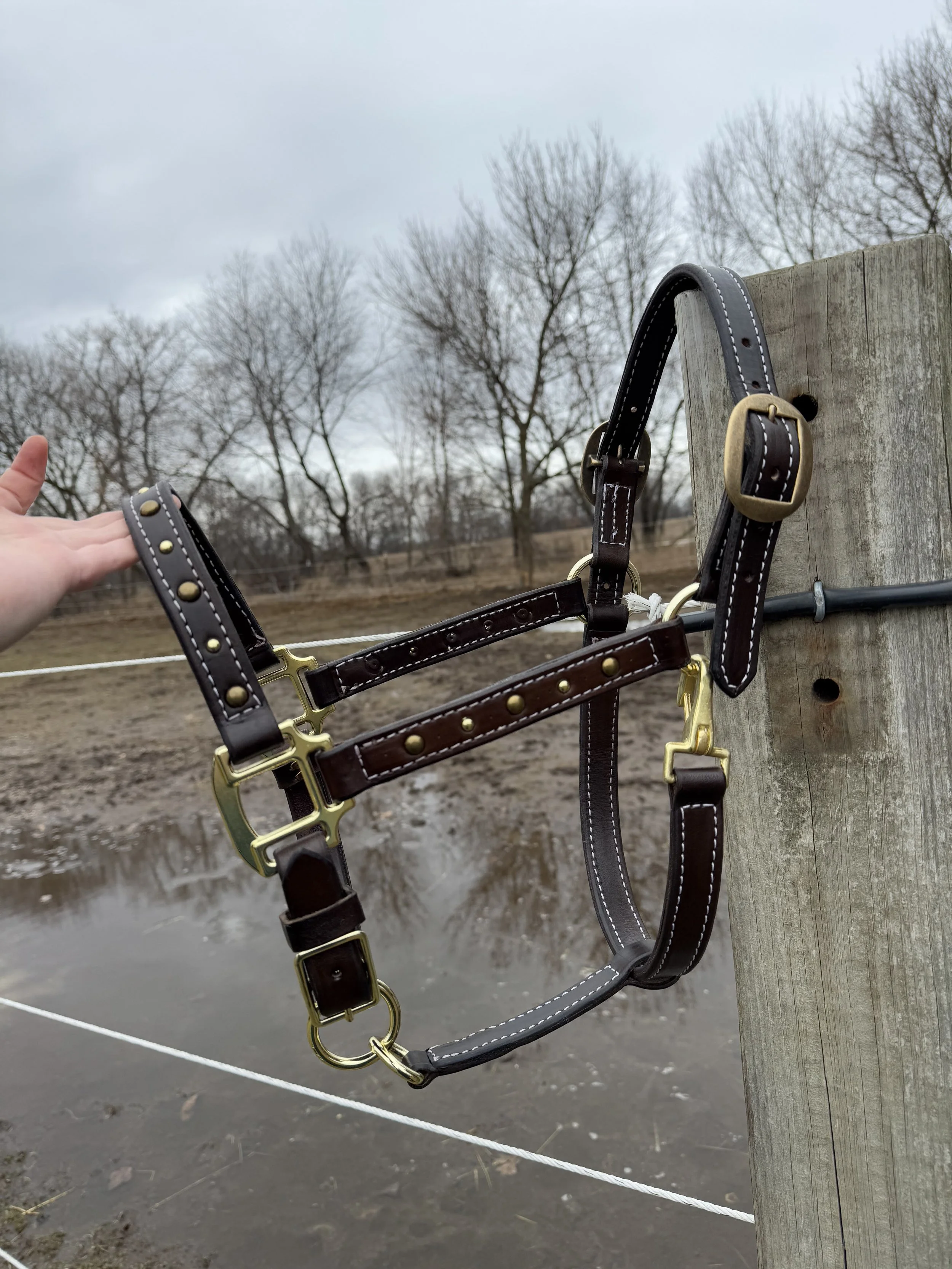 Close-up of horse tack, including leather bridles with brass fittings, hanging on a wooden post outdoors during overcast weather.