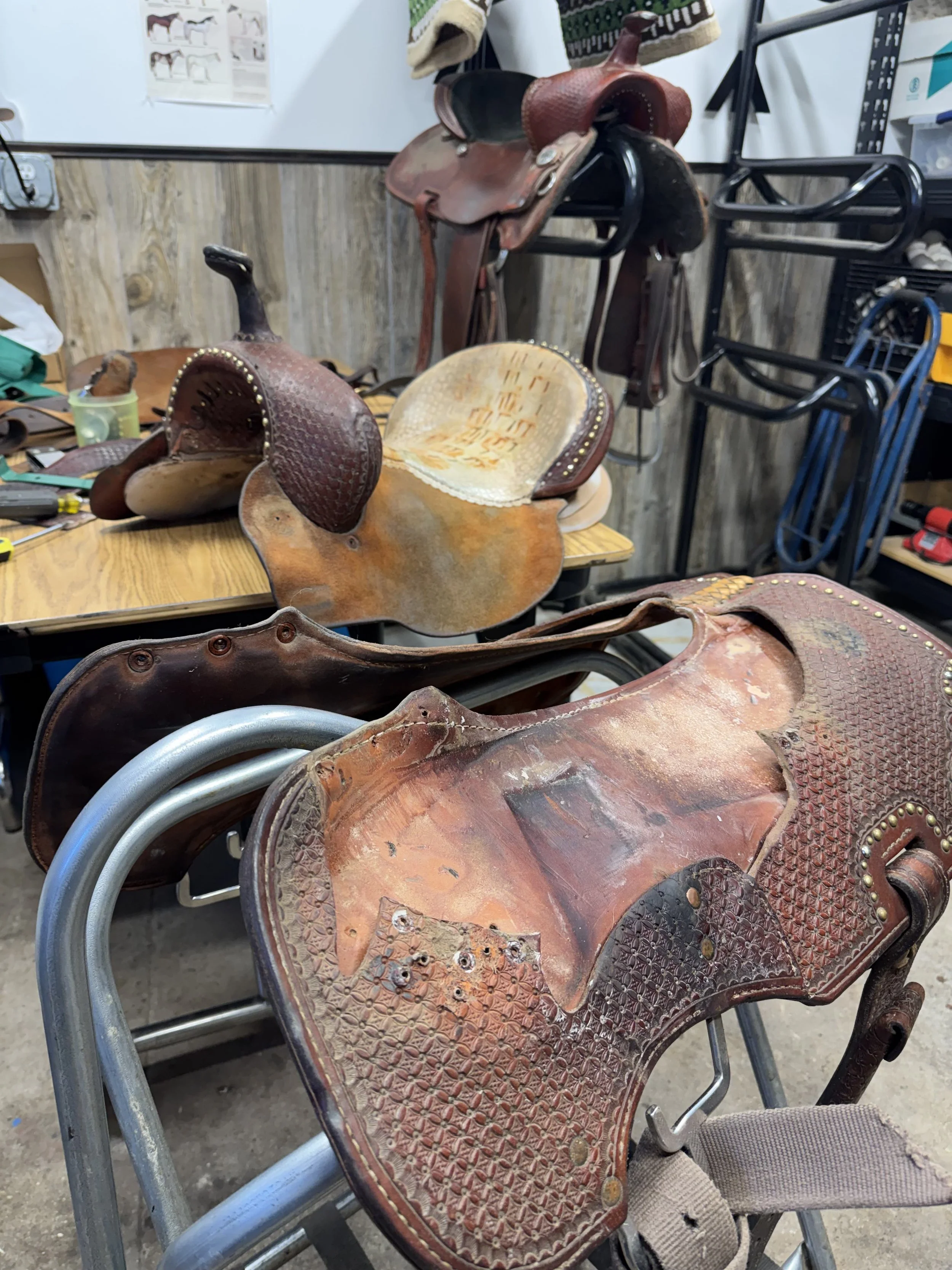 Several worn Western-style saddles with leather and metal details placed on chairs and a table in a workshop or storage area.
