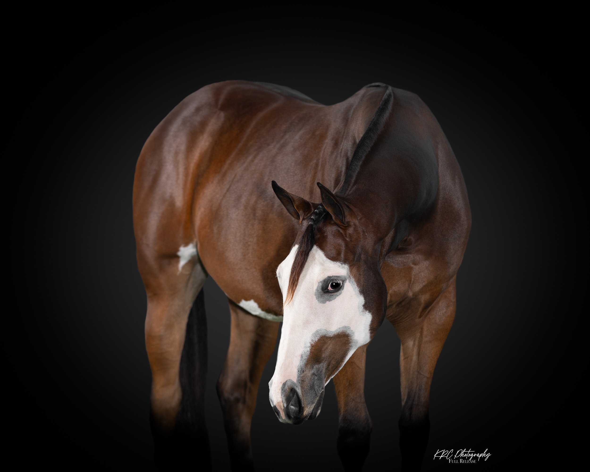 C54A0274-Edit.jpg