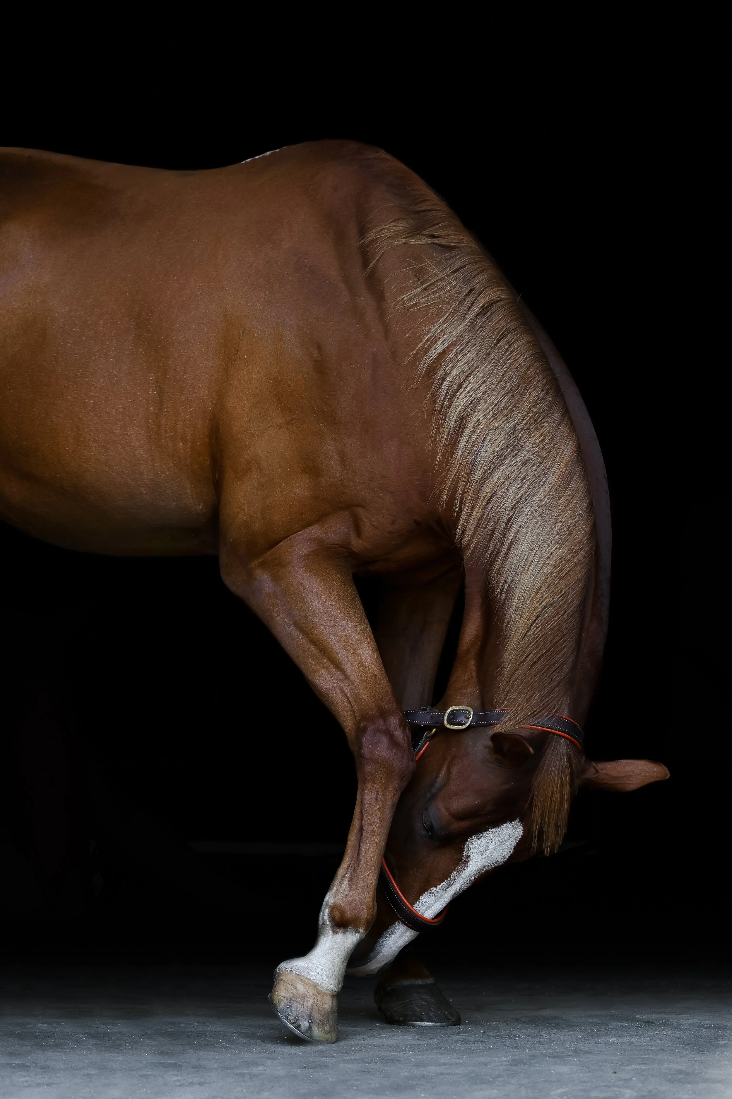 KRCC8138-Edit.jpg