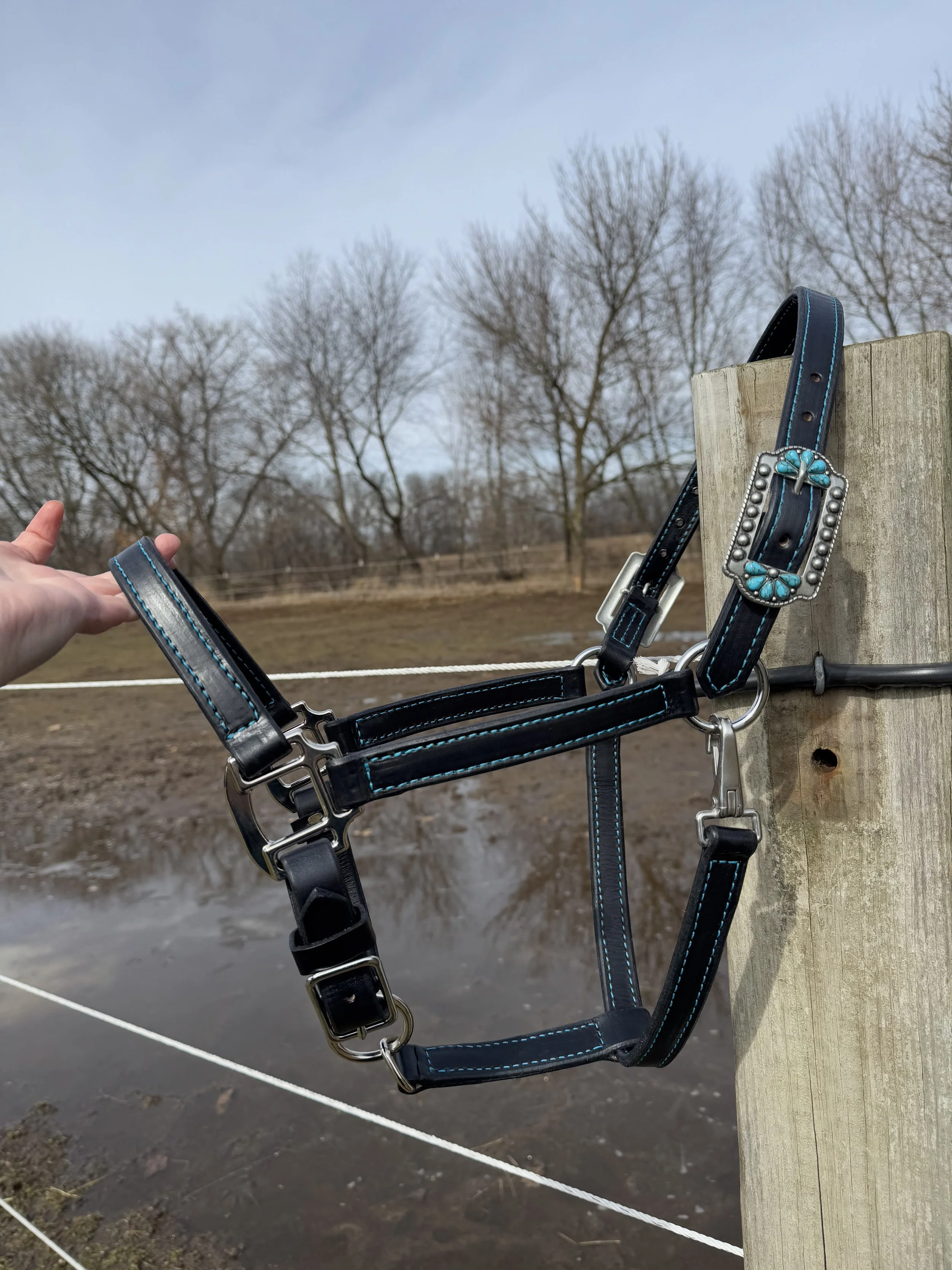 A dog harness hangs on a wooden post outdoors, with a rural background of leafless trees and a muddy field.