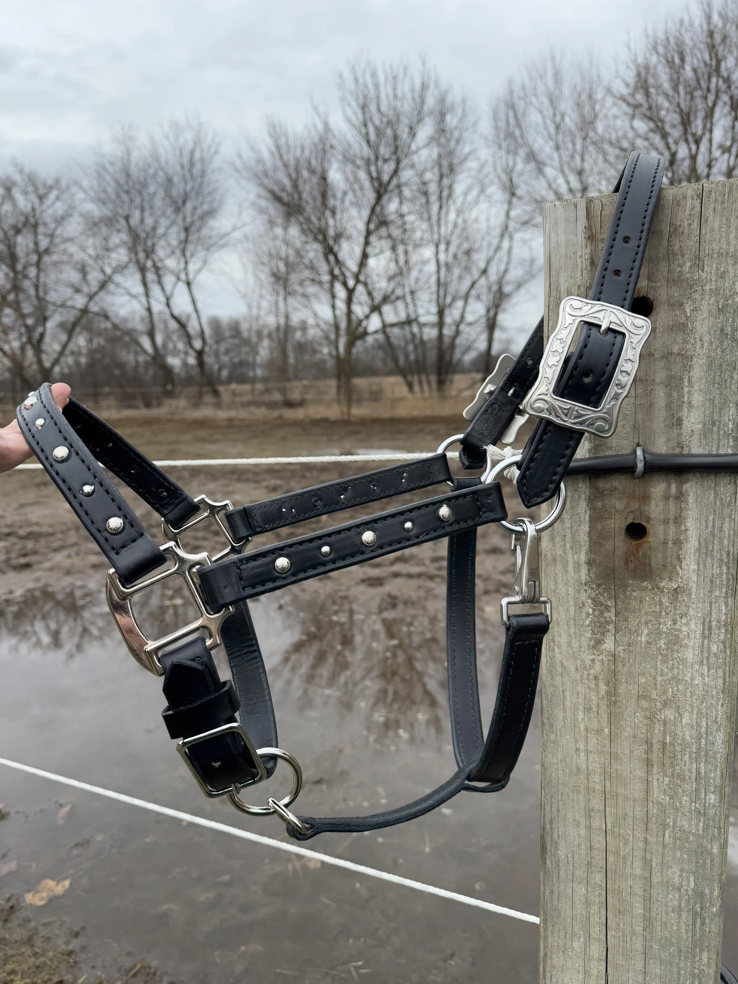 Black leather horse halter with silver hardware hanging on a wooden post outdoors, with leafless trees and a cloudy sky in the background.