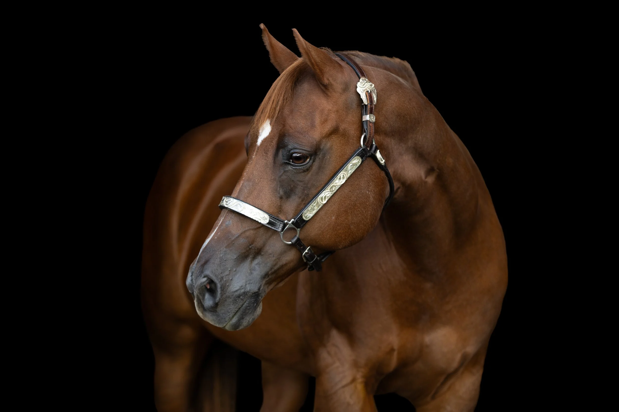 KCJY8909-Edit.jpg