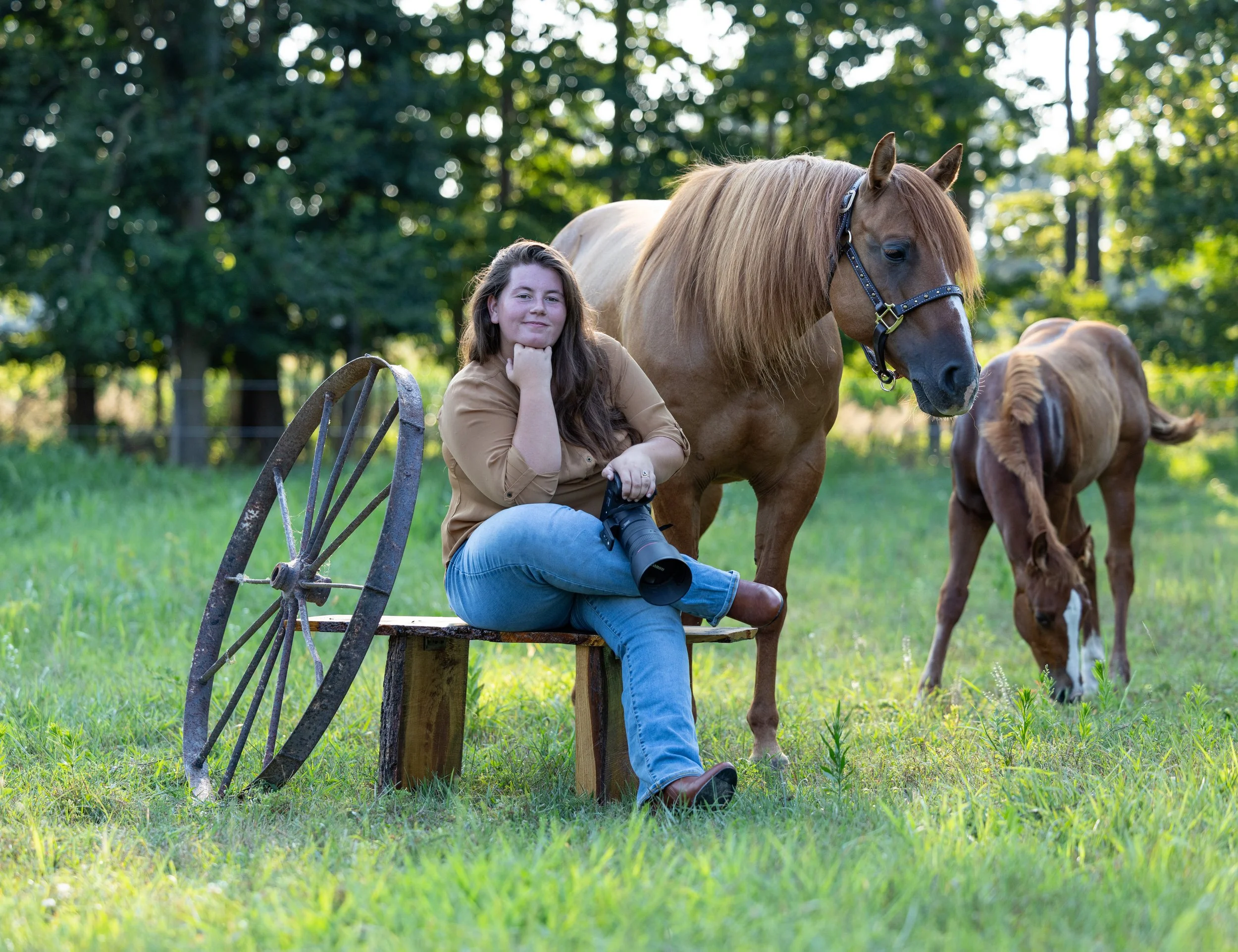 A woman sitting on a wooden bench next to a brown horse in a grassy field with green trees in the background.