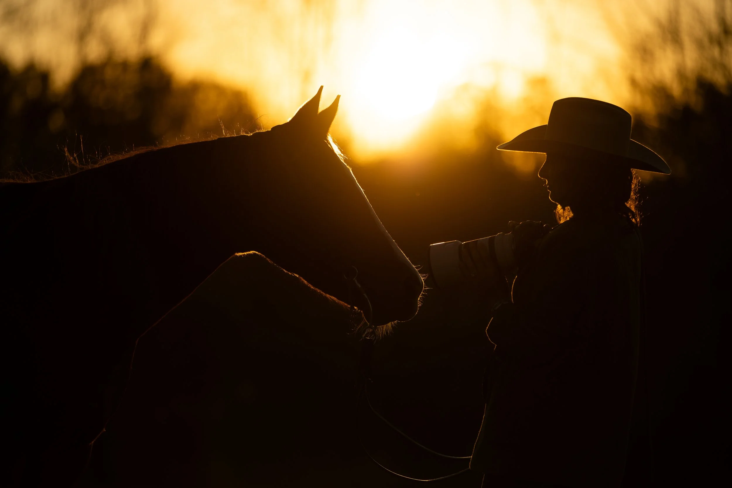 Silhouette of a person with a cowboy hat petting or holding a horse against a sunset background