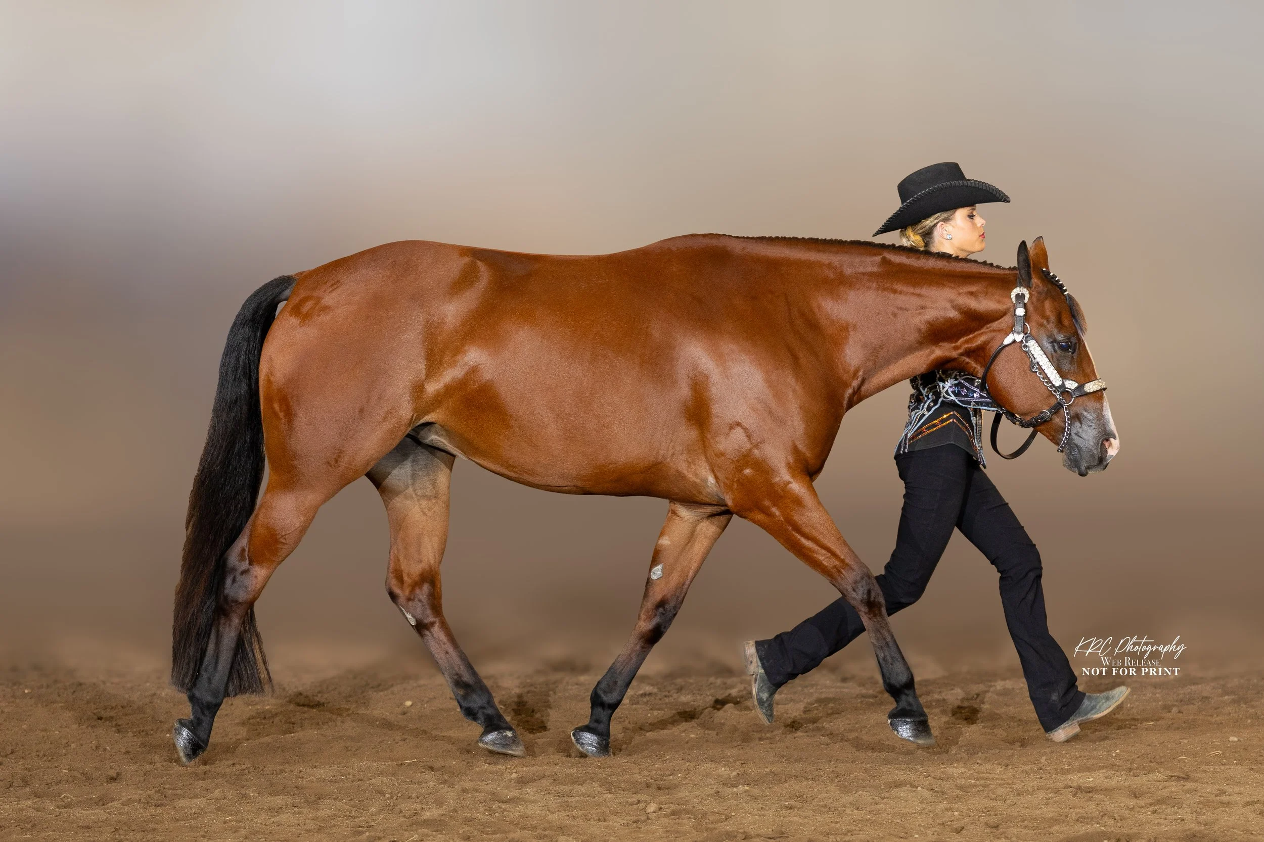 KCSP4967-Edit.jpg