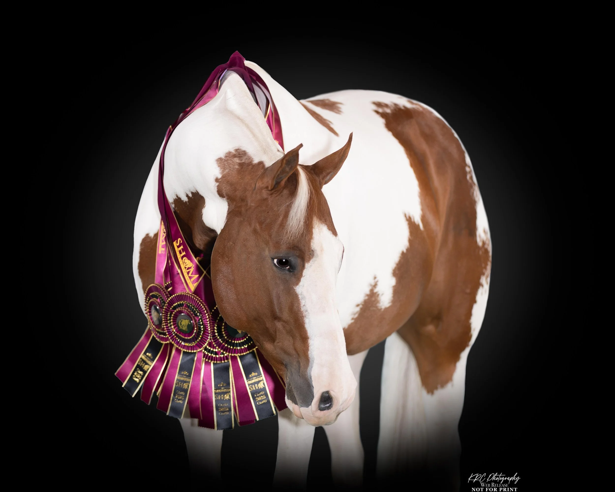BDEE1200-Edit-Edit-2.jpg