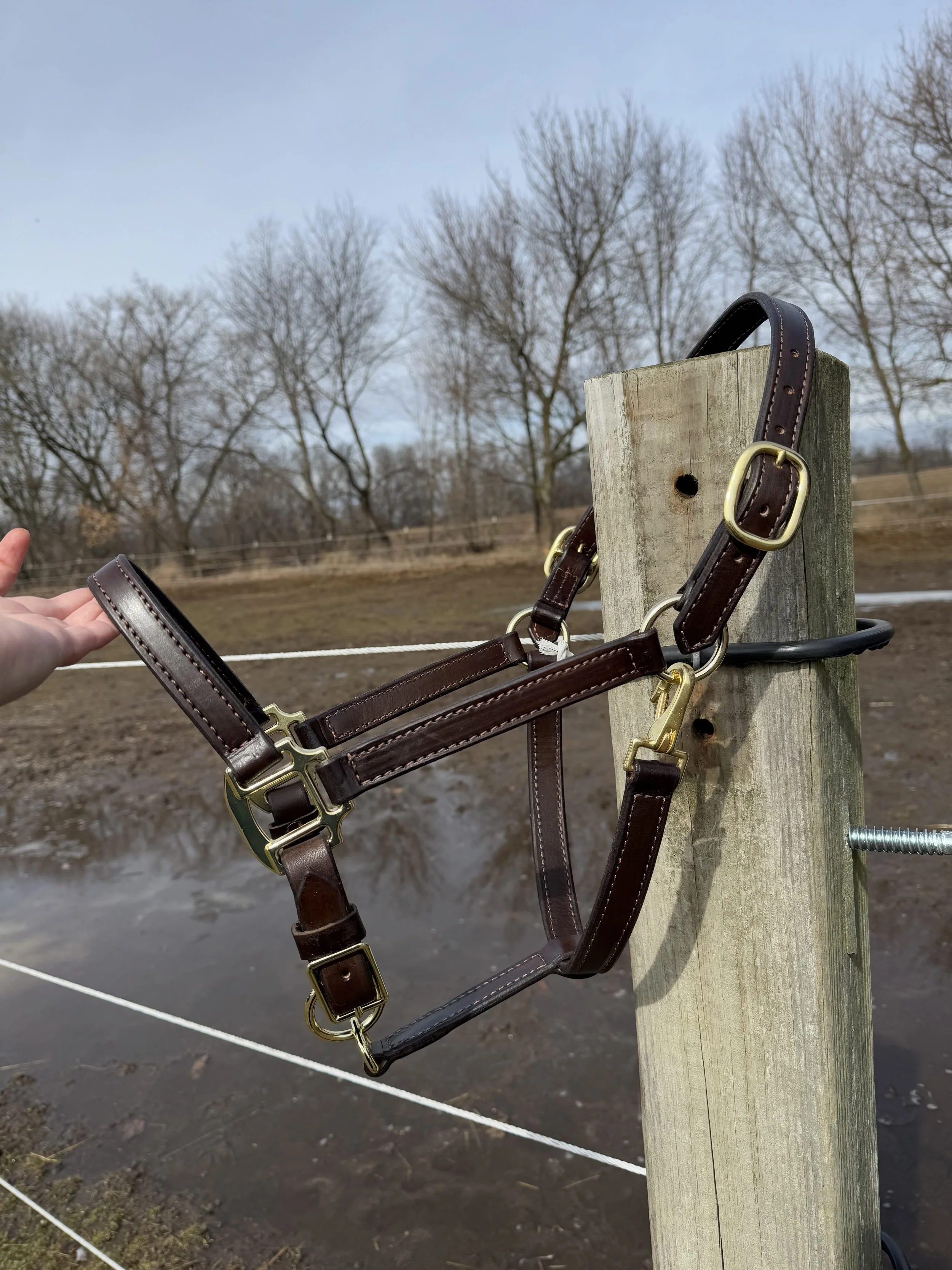 Bridle hanging on a wooden fence post outdoors in a rural setting with bare trees and a cloudy sky in the background.