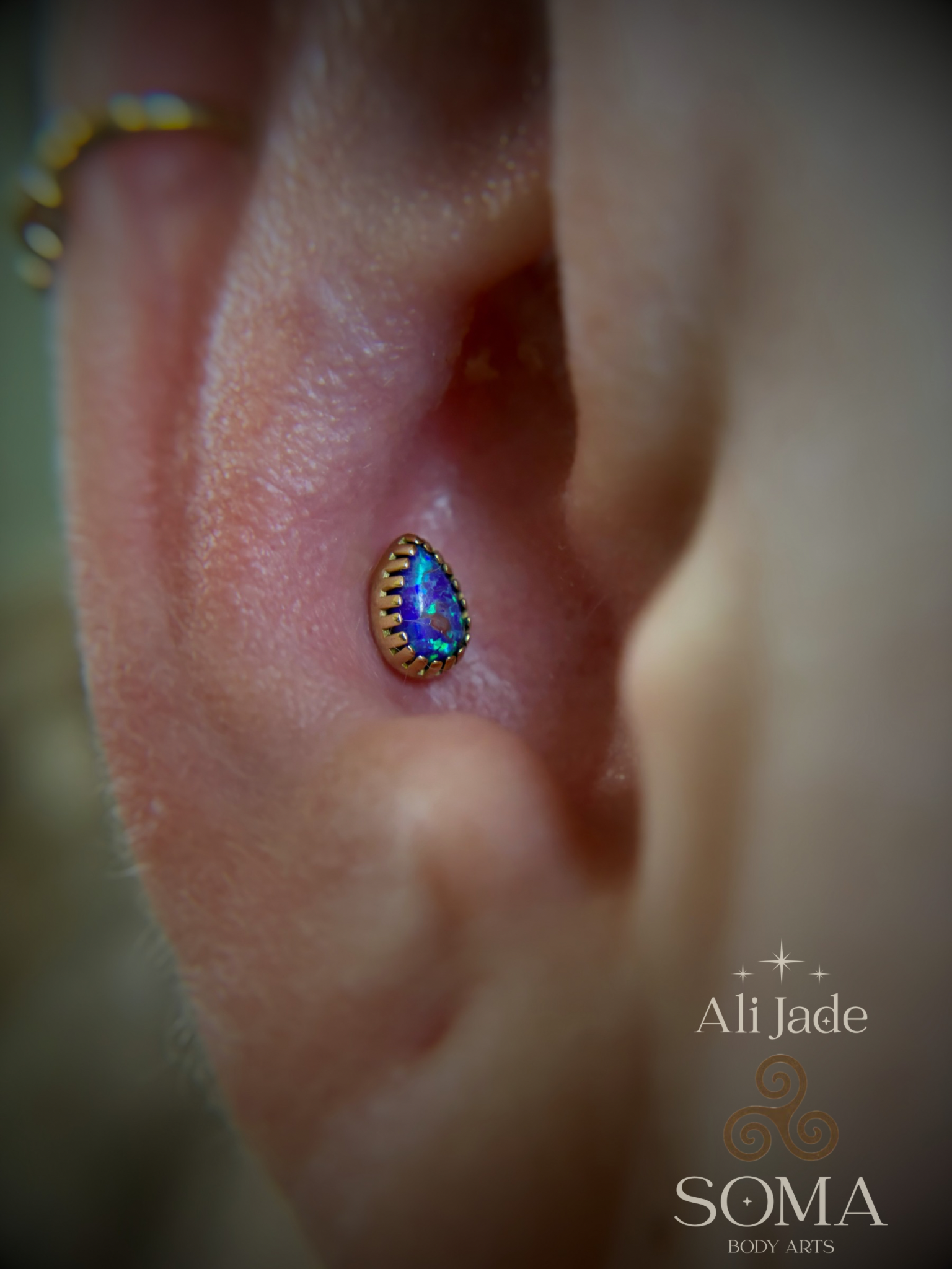 Conch