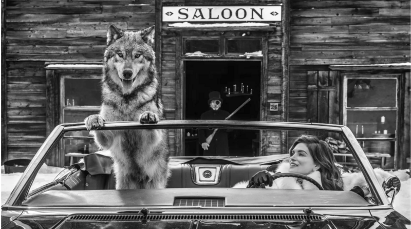 The David Yarrow Effect: What the Most Cinematic Photographer Alive Is Teaching Brands About Visual Authority