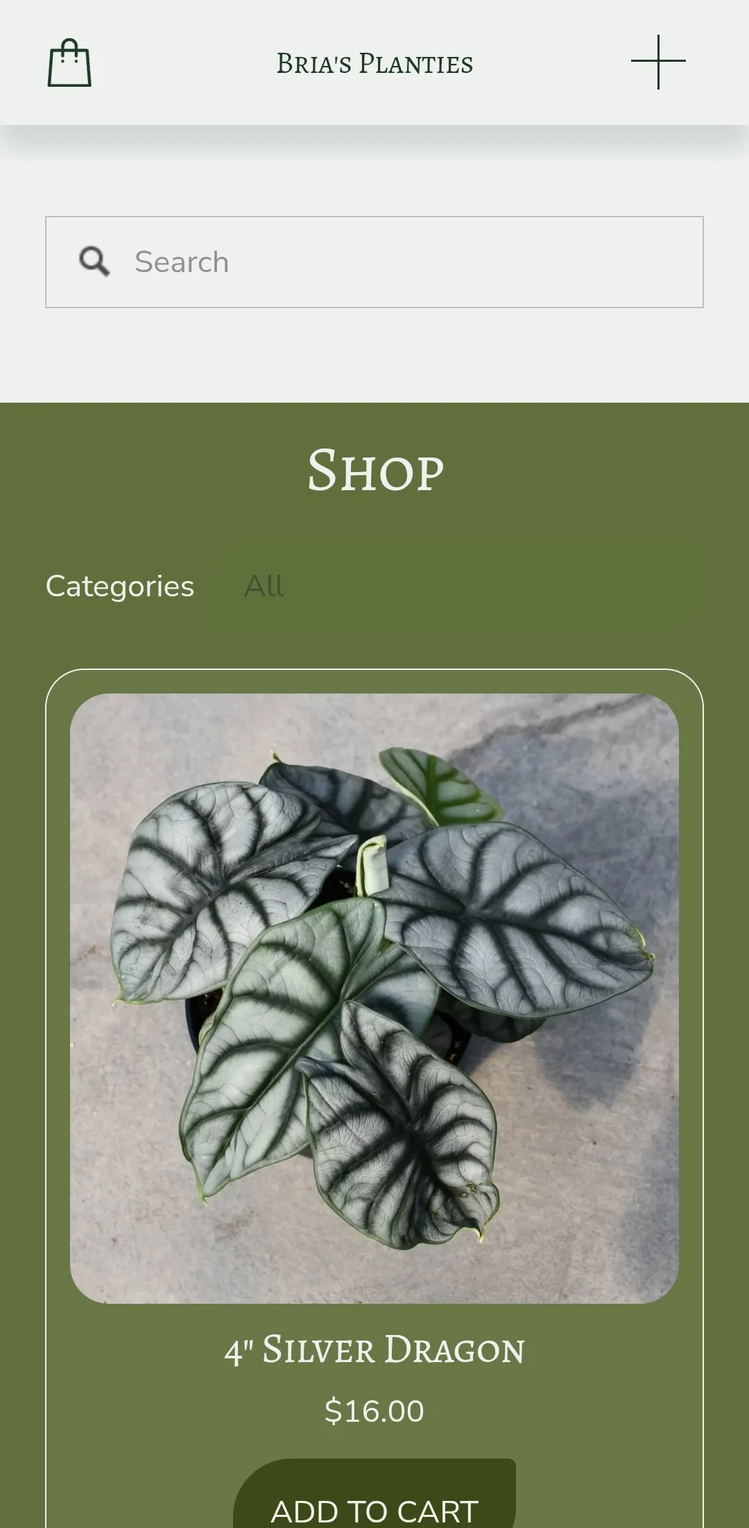 Online shop page displaying a potted plant called 4-inch Silver Dragon, priced at $16.00, with a photo of the plant showing dark green, silver-veined leaves.