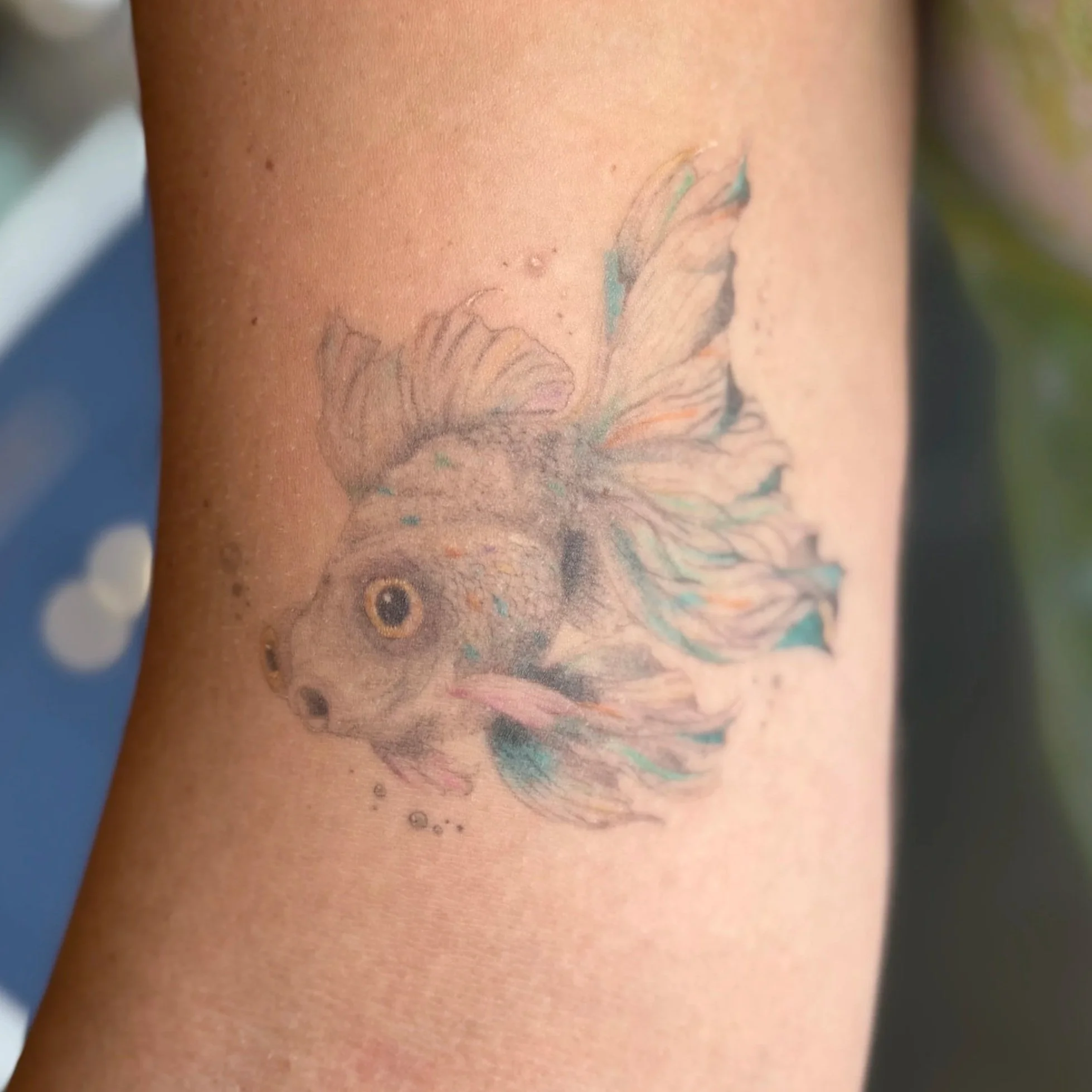 Close-up of a person's tattoo featuring a swallow bird with colorful details on their skin.