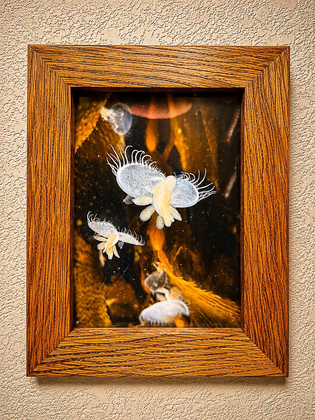 With photo 5x7
