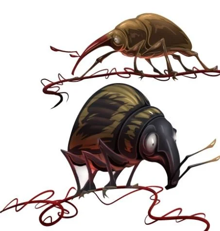whortlingweevils.JPG
