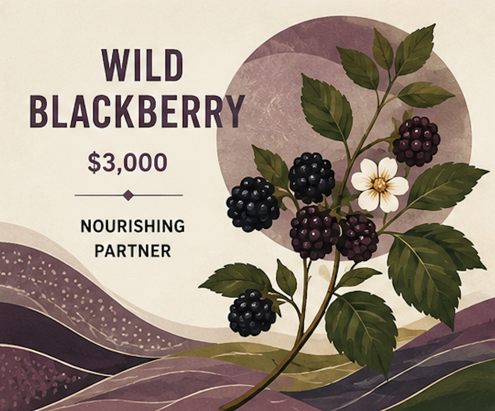 Illustration of a blackberry plant with green leaves and white flowers, alongside ripe blackberries, on a colorful abstract background, advertising wild blackberry for $3,000 with the tagline 'Nourishing Partner'.