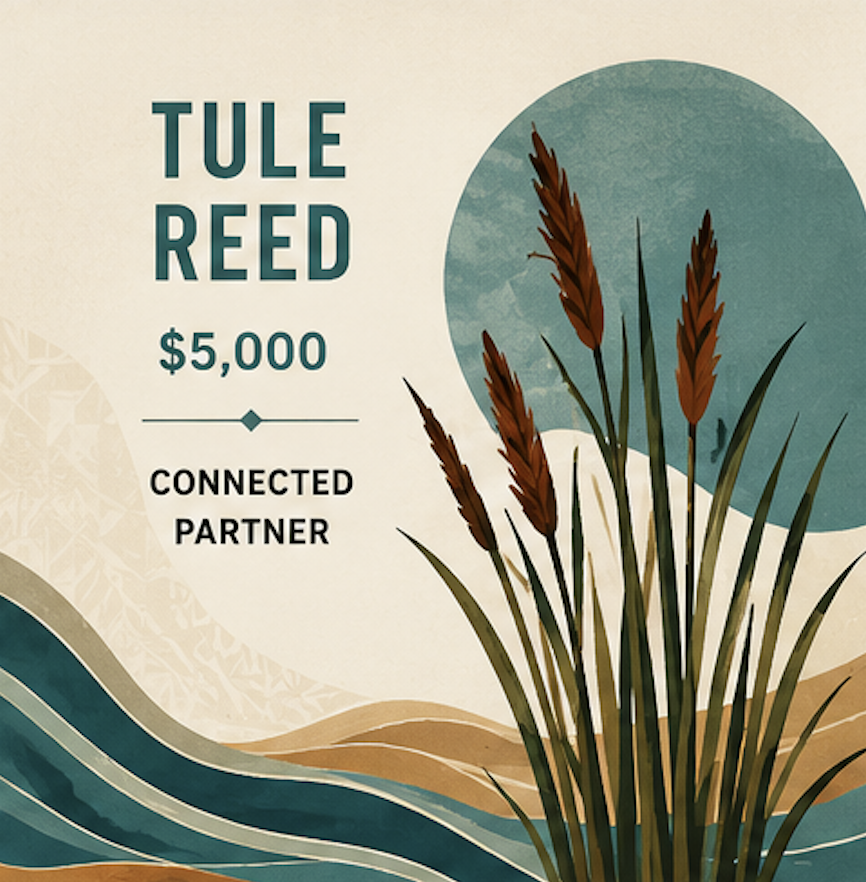 An illustrated digital rendering of a promotional card displaying the name 'Tule Reed', priced at $5,000, and indicating a 'Connected Partner'. The design includes stylized wavy lines in shades of blue, beige, and brown, with a depiction of tall reed grass plants with brown flower spikes against a background of abstract circles and textured patterns.