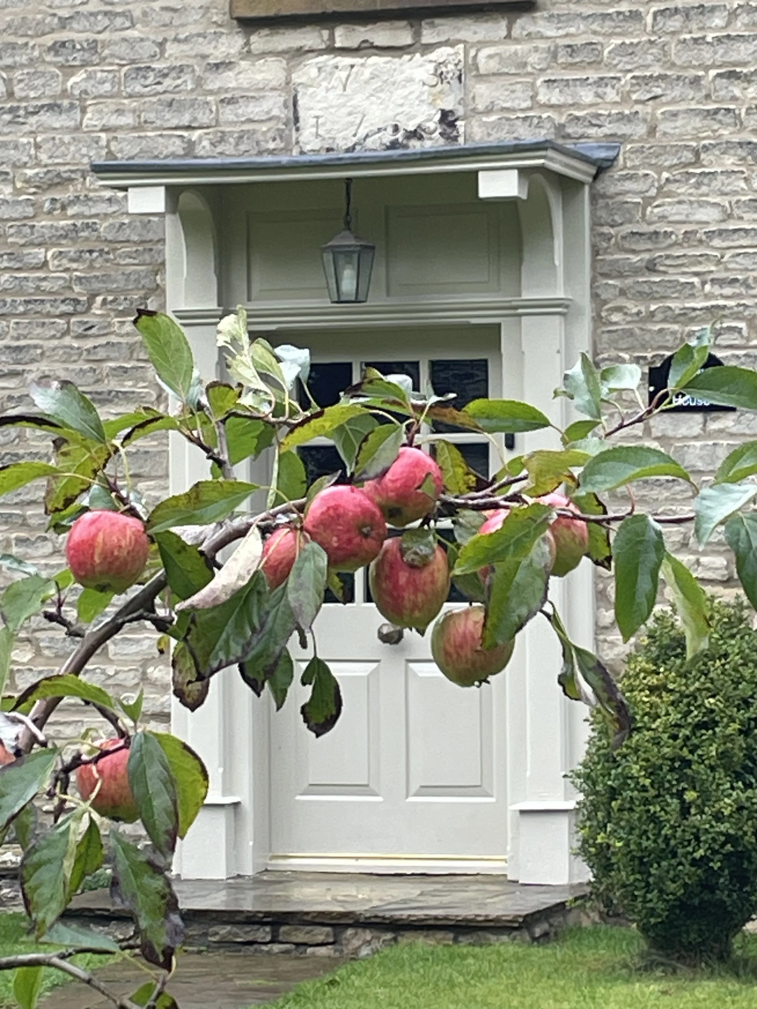 Front door of a house with a white frame and window, surrounded by brick wall siding. An apple tree with red apples in the foreground and a green shrub on the right side.