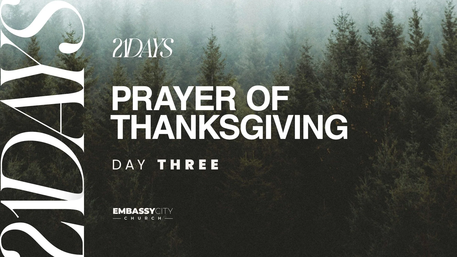 241219-Embassy-Thumbnail-1920x1080-3-1.jpg
