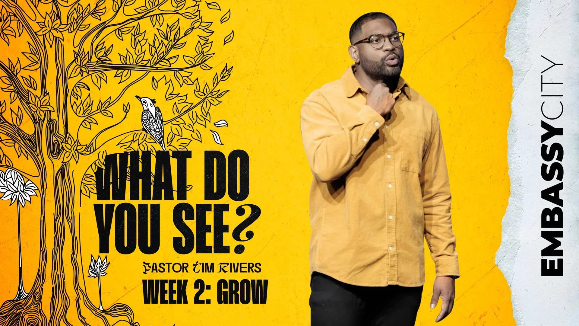 What Do You See? Week 2