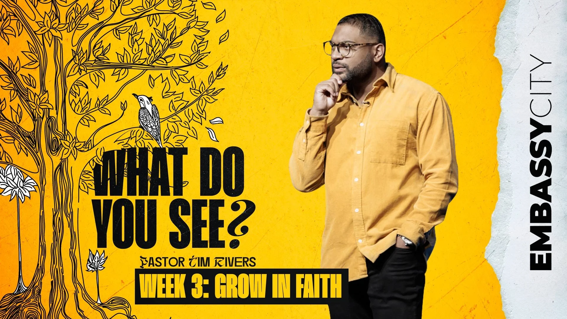 What Do You See? Week 3