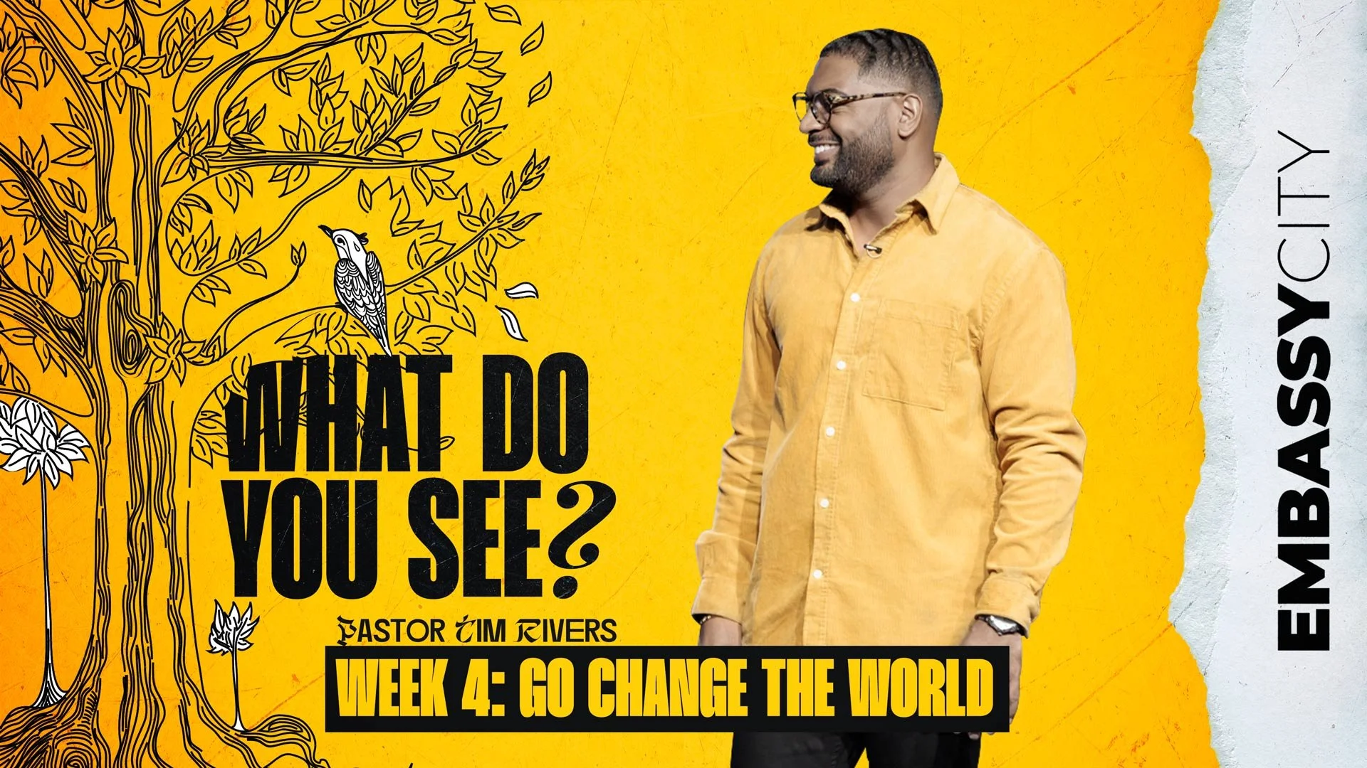 What Do You See? Week 4