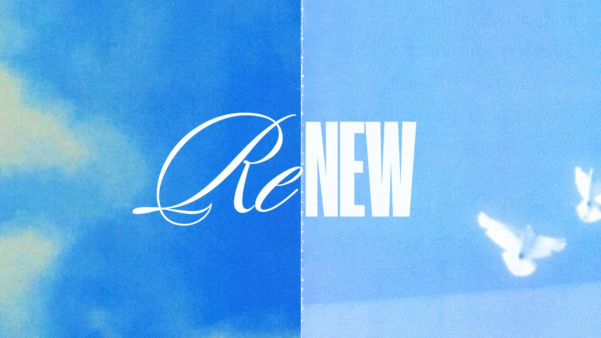 Renew