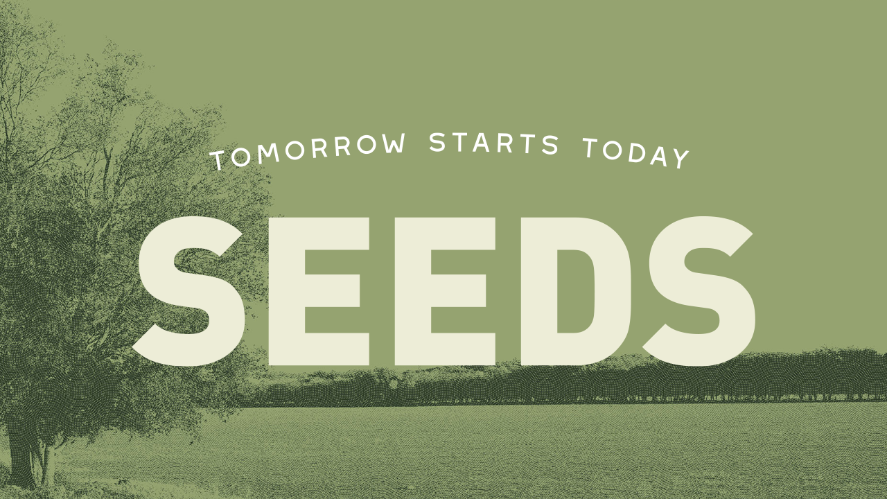 Seeds