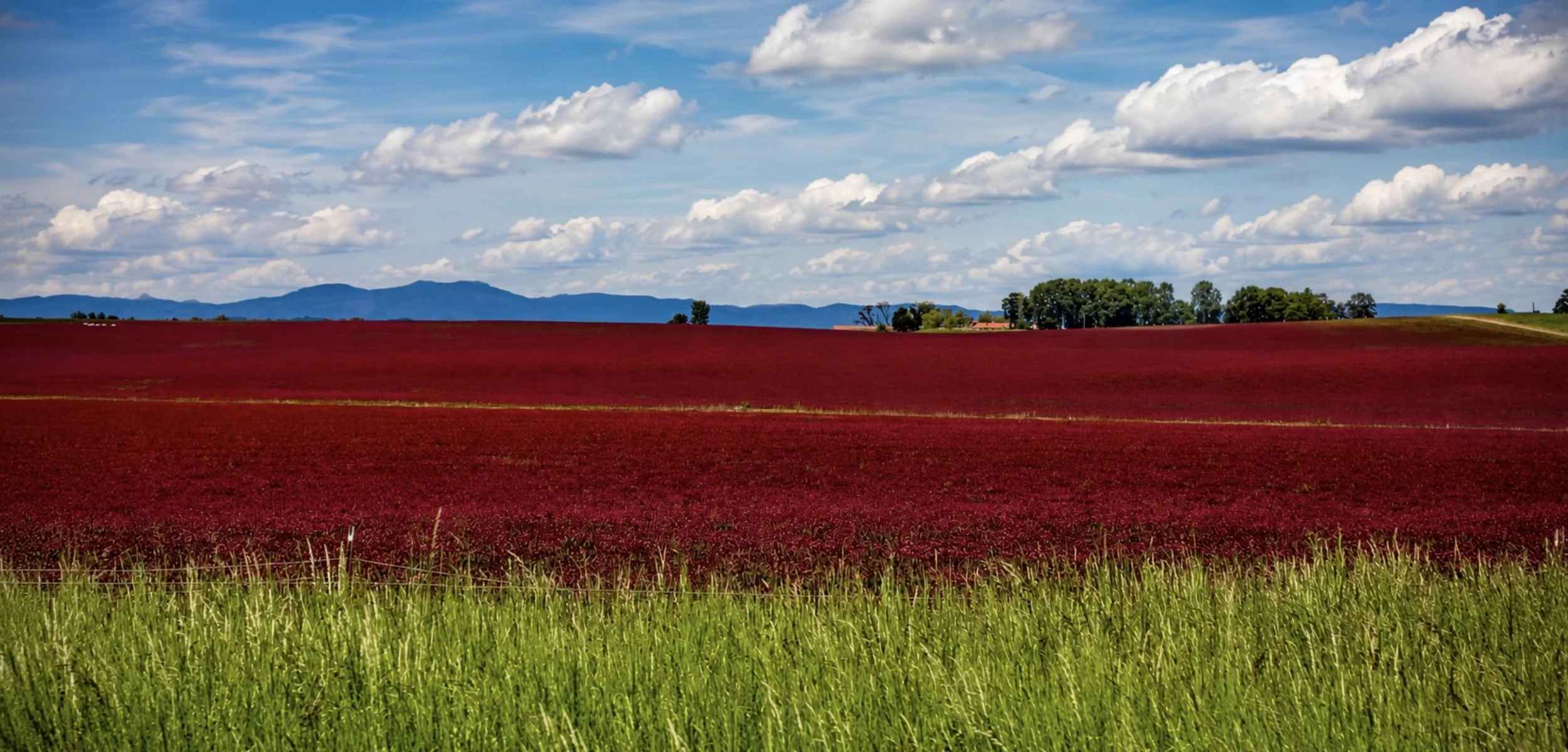 A landscape of a red field with green grass in the foreground, farm buildings and trees in the middle ground, and blue mountains with white clouds and a partly cloudy sky in the background.