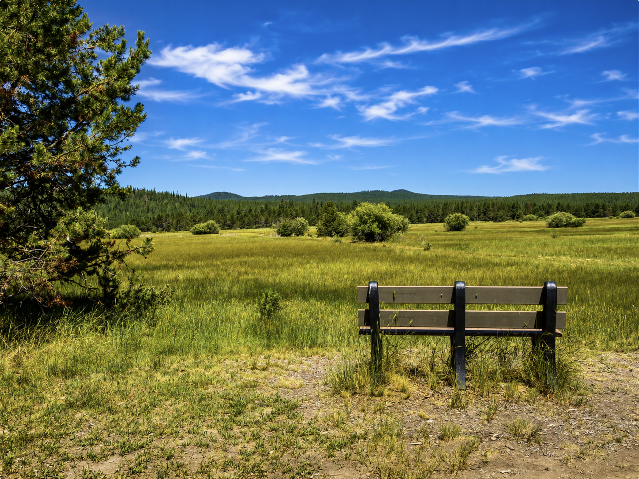 A bench facing an open field with trees and hills under a bright blue sky with white clouds.