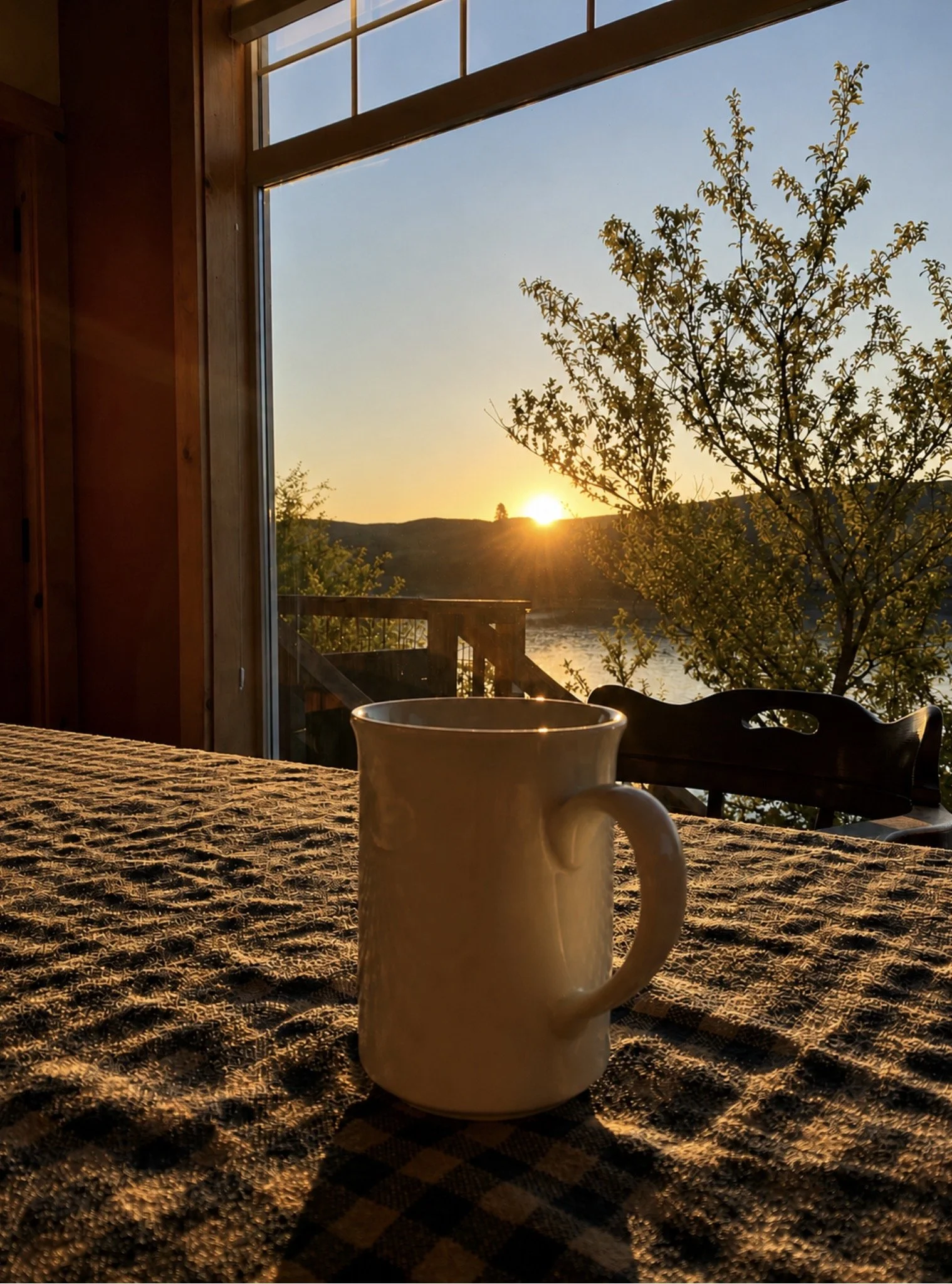 Sunset viewed through a large window from inside, with a white mug on a textured table in the foreground and a tree outside.