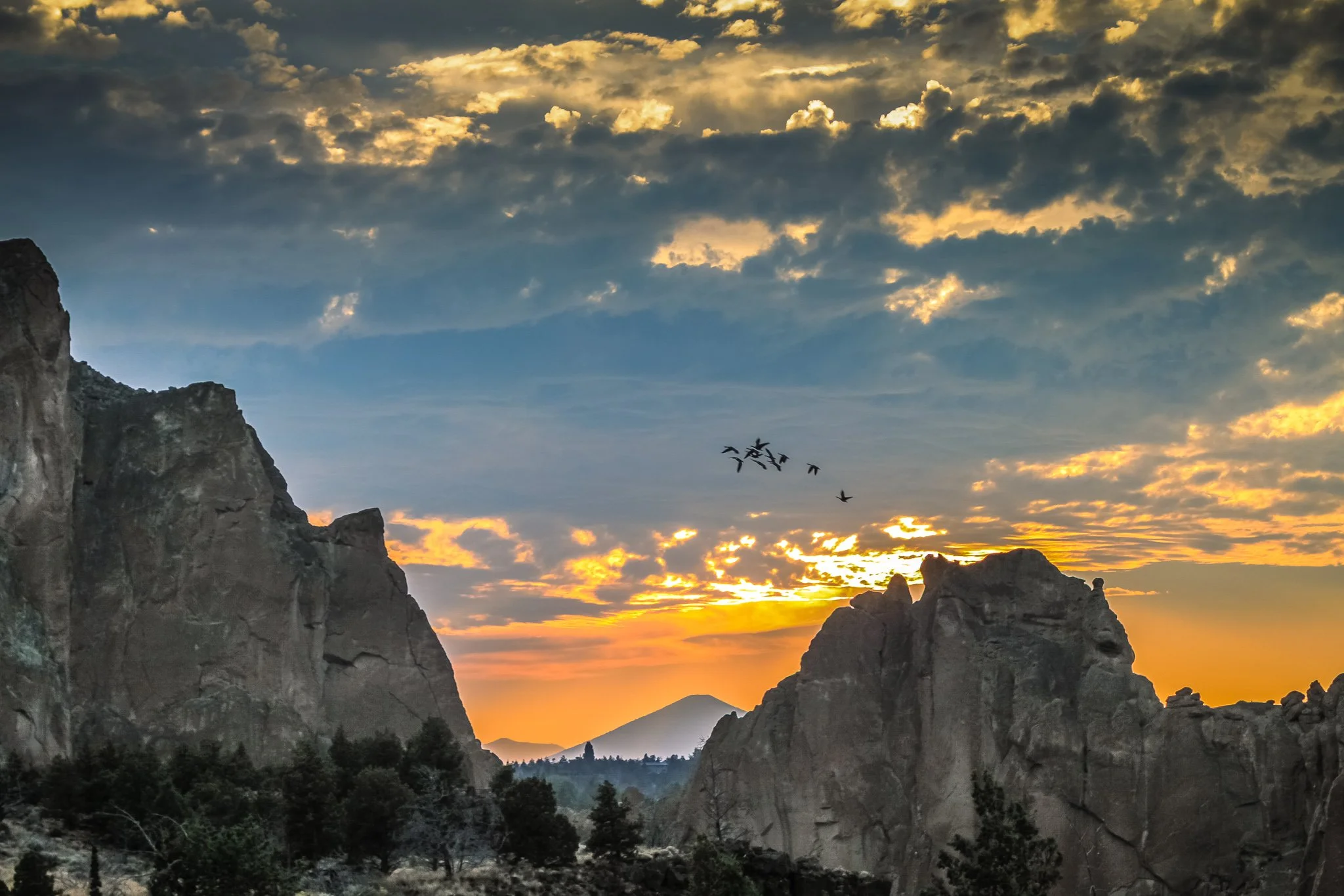 A scenic landscape of a sunset or sunrise over rocky mountains with a flock of birds flying in the sky, and trees at the base of the mountains.