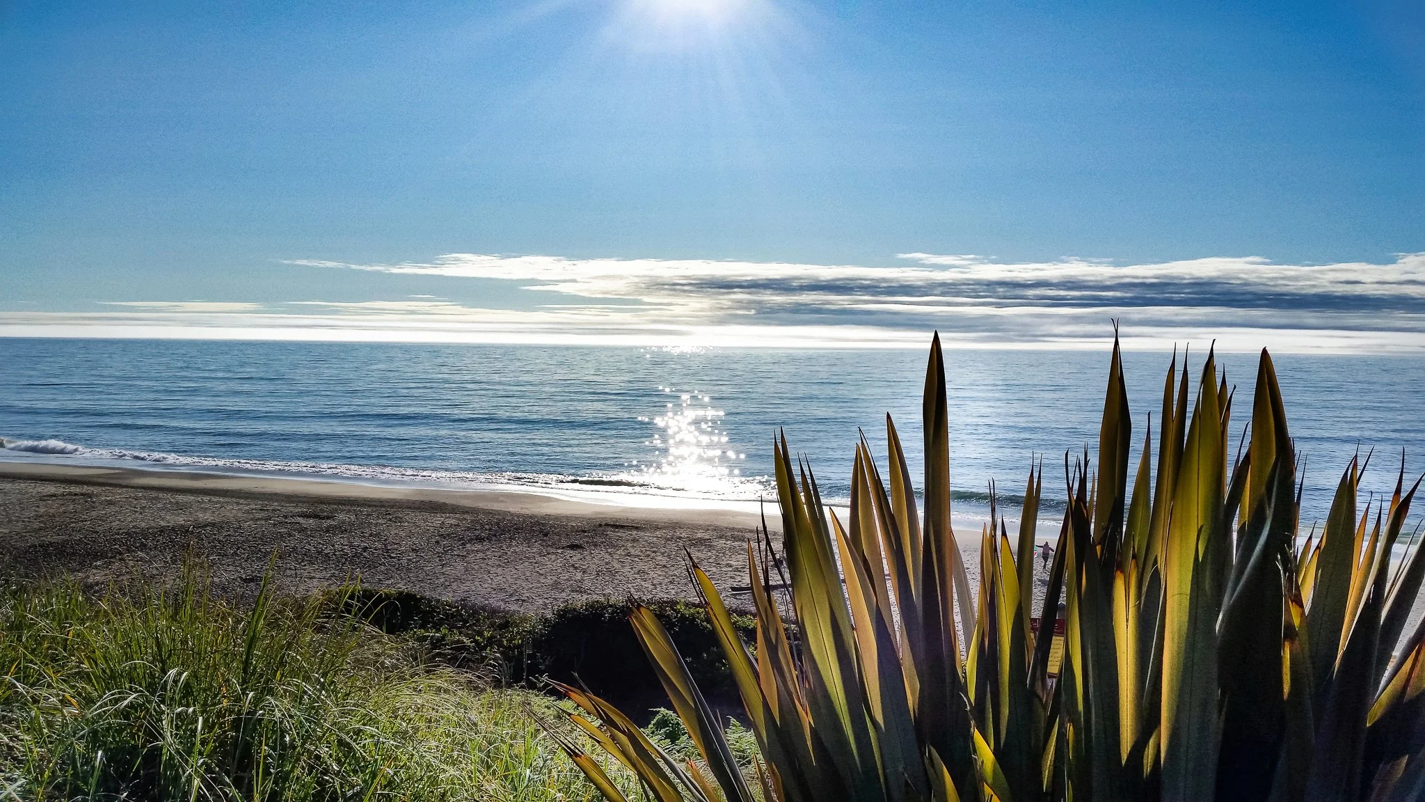 Beach scene with sandy shore, water, blue sky, and some plants in the foreground.