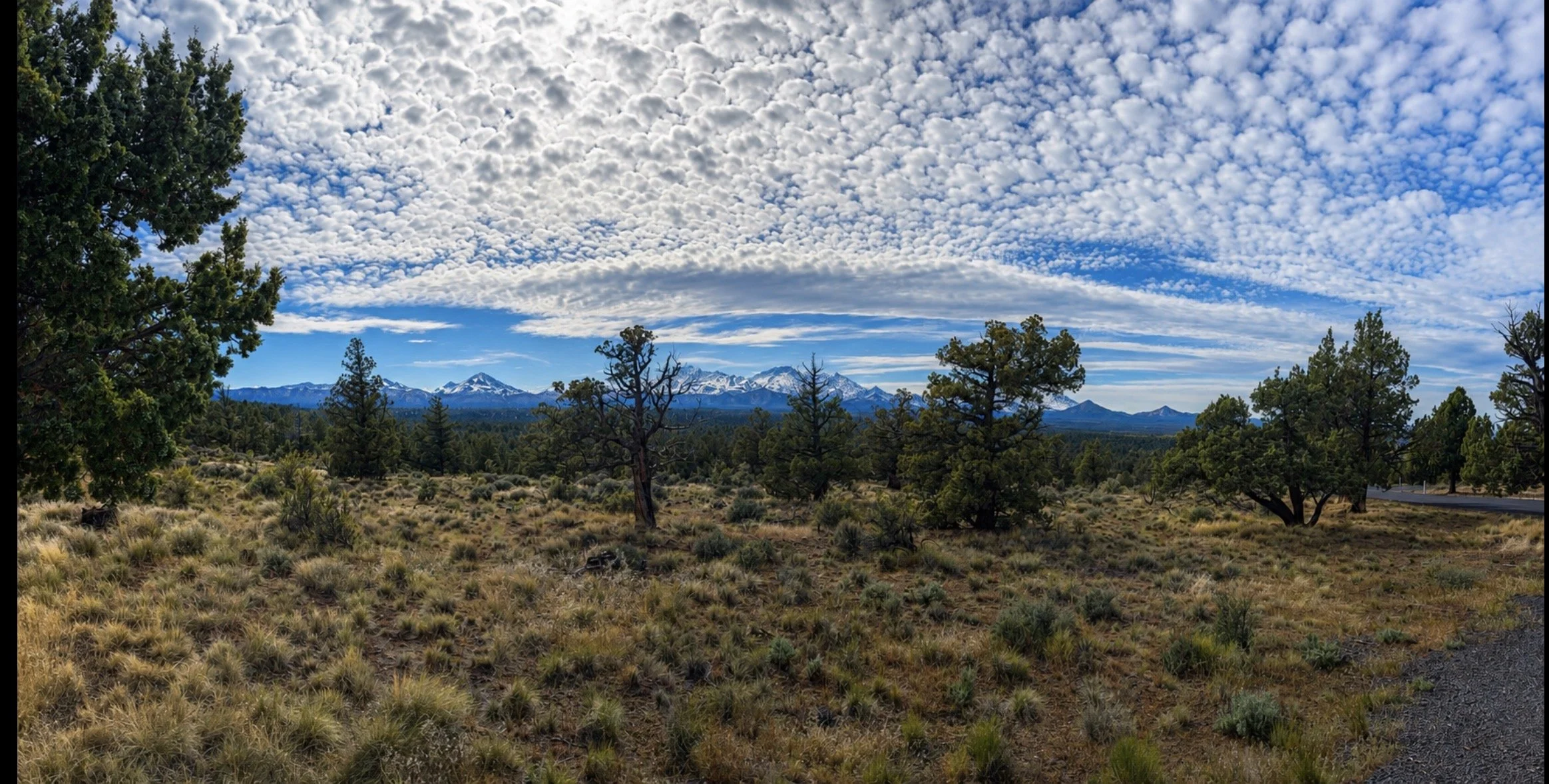 A landscape with trees, mountains with snow, and a sky filled with scattered clouds.