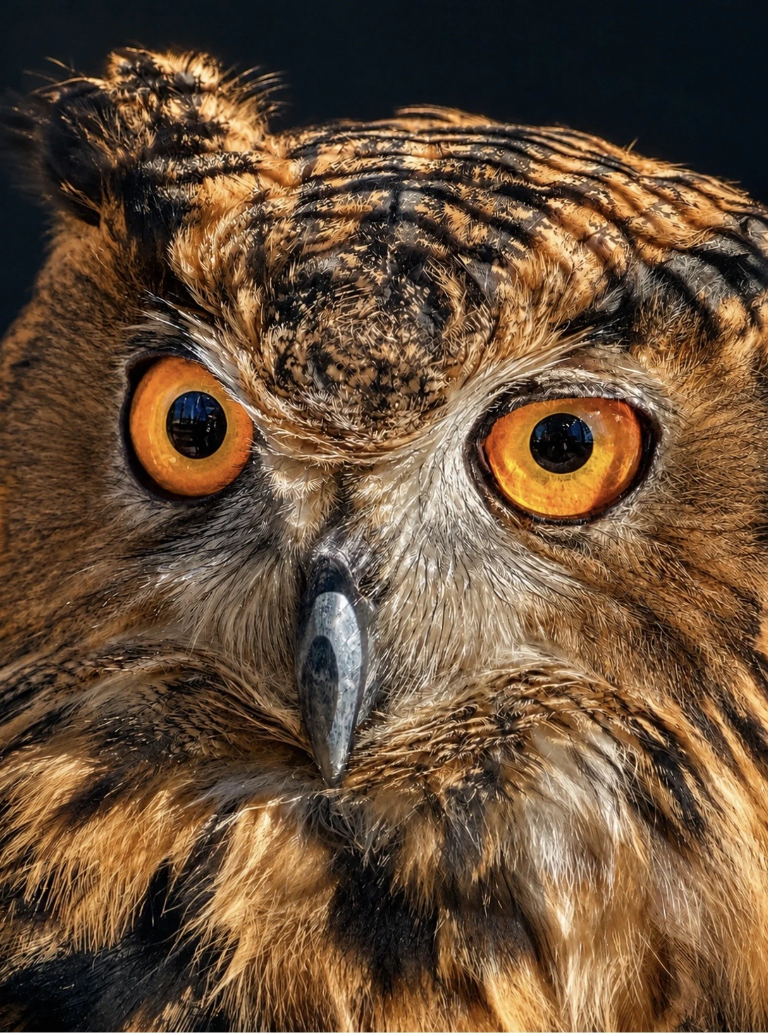 I See You.