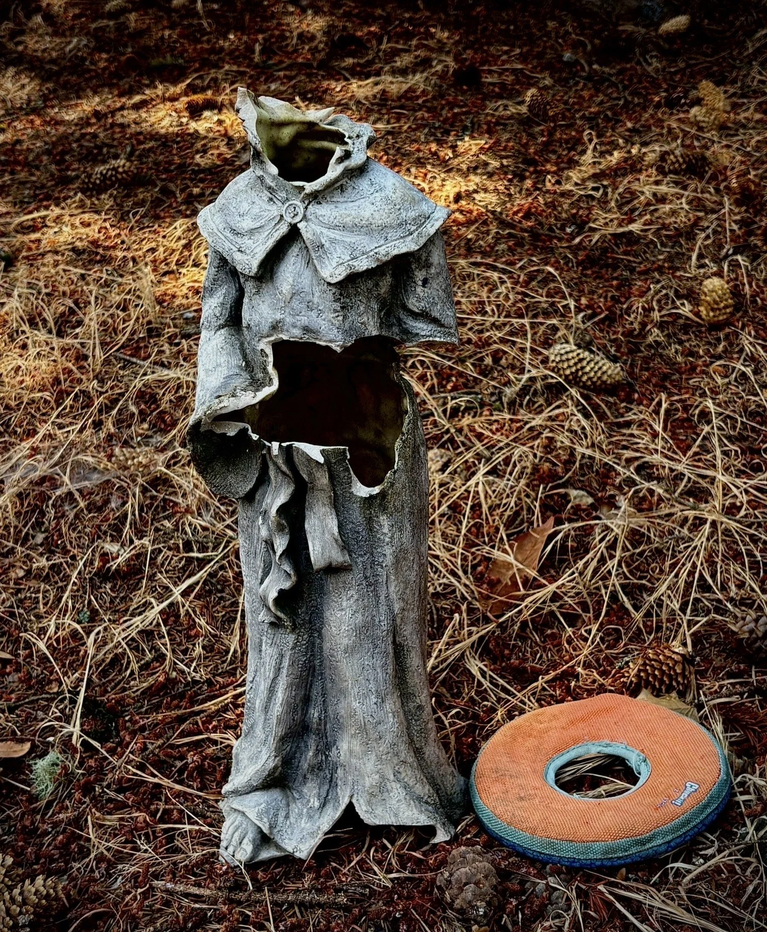 A weathered piece of driftwood with a carved face and a shirt collar on top, placed on dry pine needles with pinecones and an orange frisbee nearby in a forest setting.