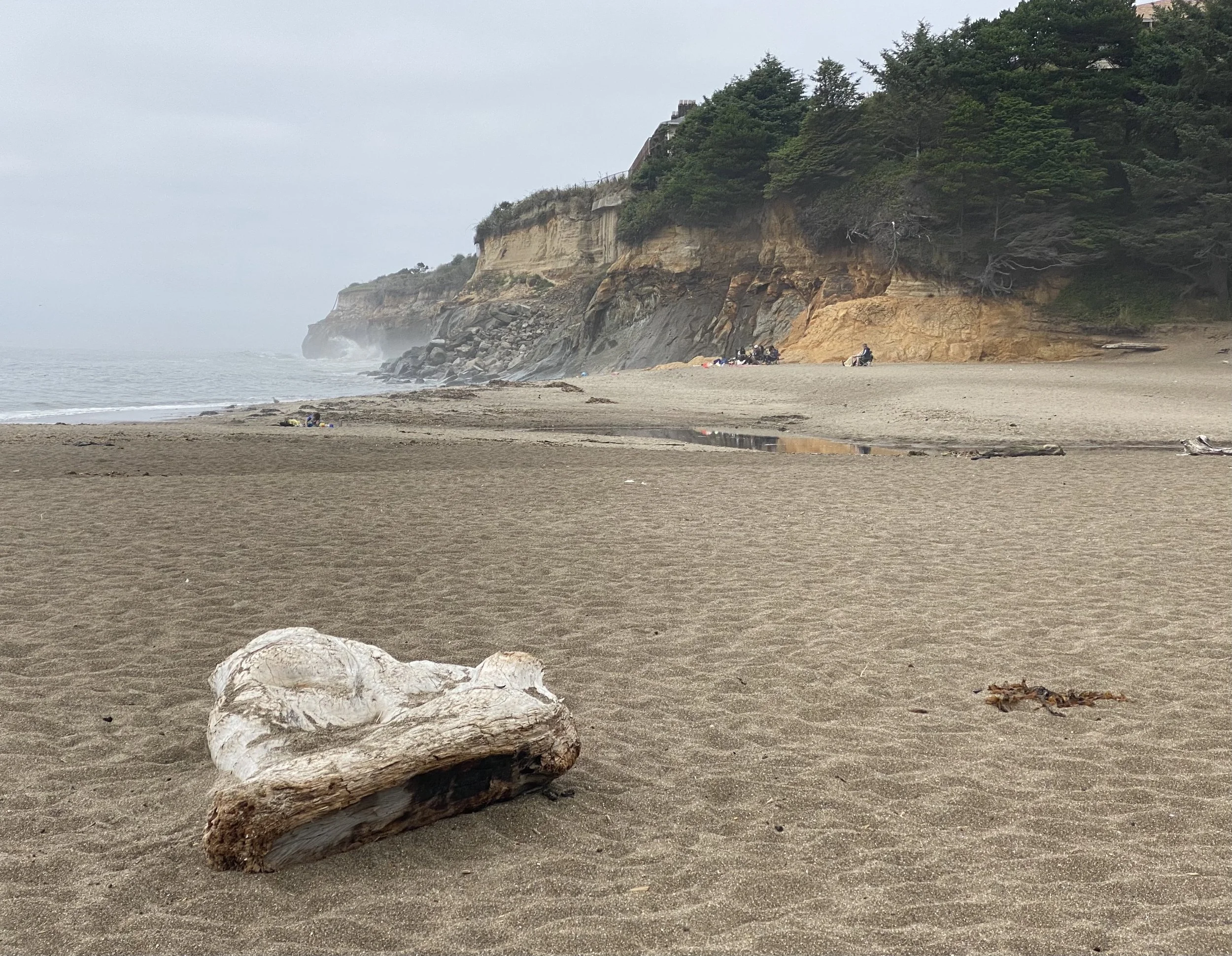 A sandy beach with a large piece of driftwood in the foreground, and a rocky cliff with greenery in the background, with some people near the rocks.