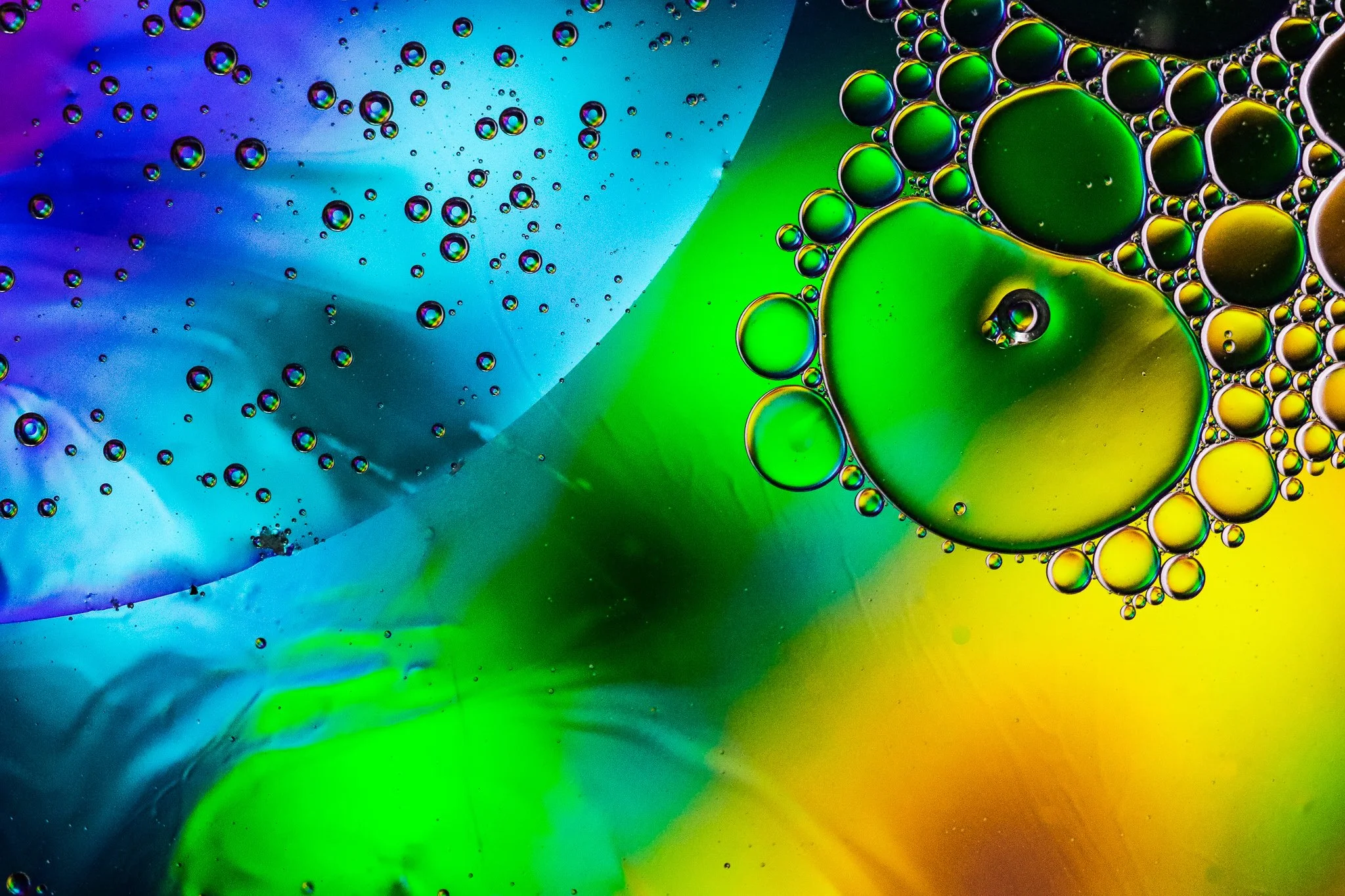 bubble2.jpg