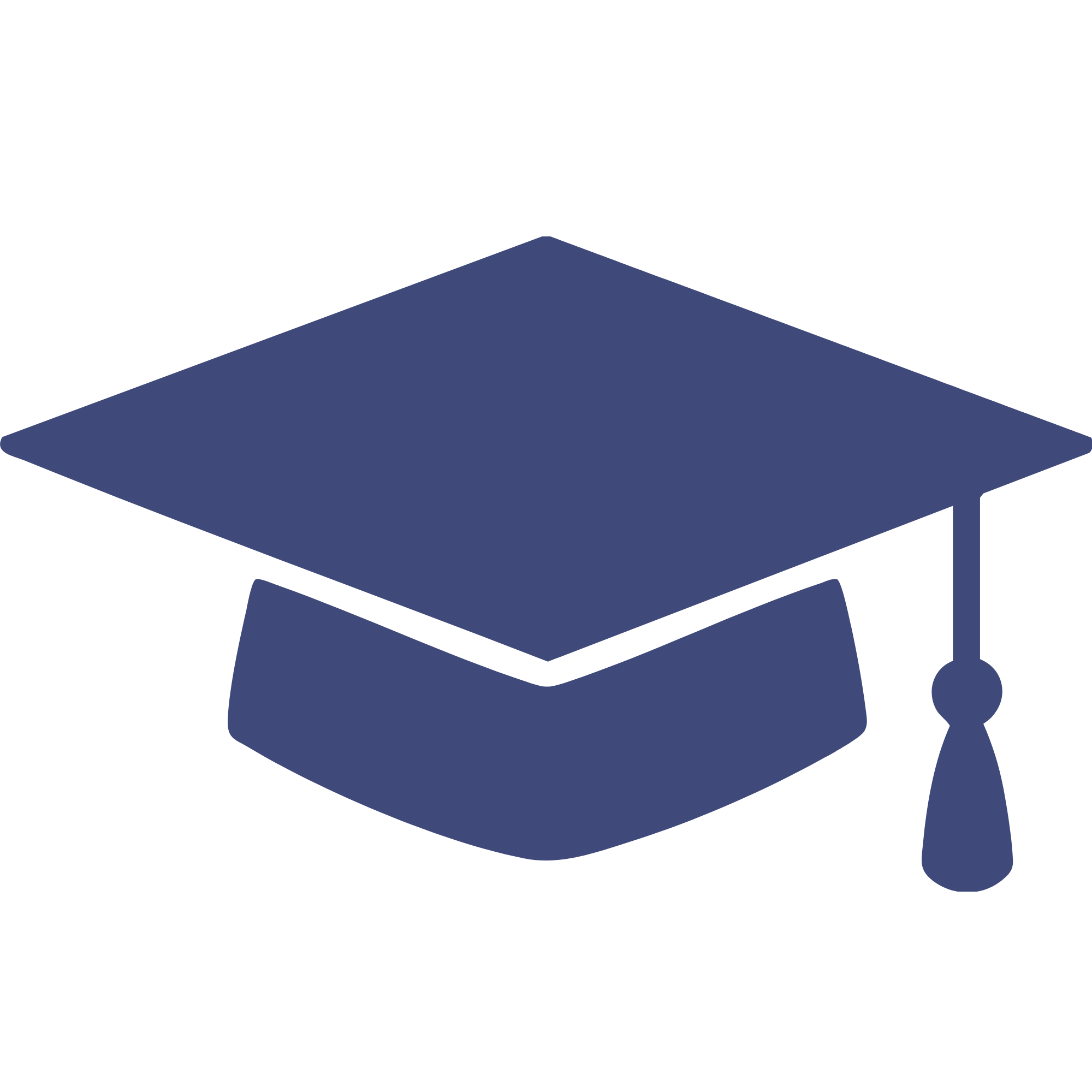 An illustration of a graduation cap with a tassel, divided into black and dark blue sections.