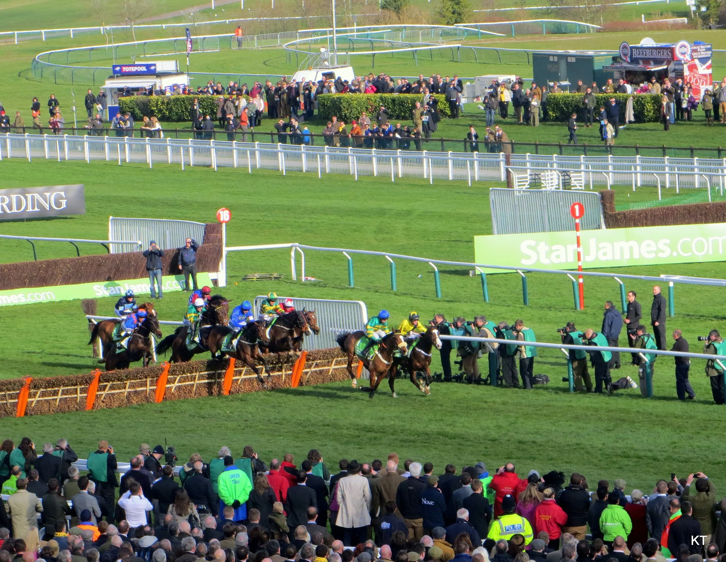 Cheltenham Races